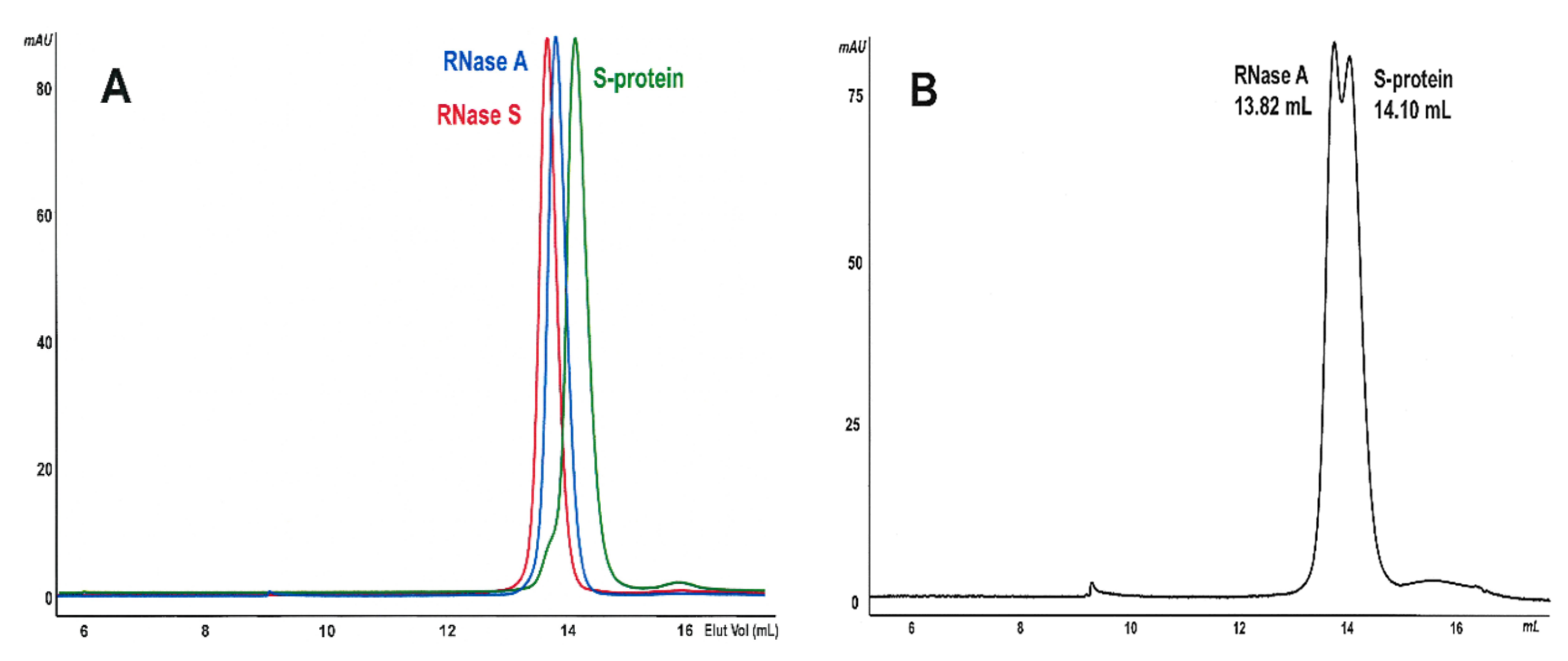 Ijms 23 11192 g003 Ijms 23 11192 g003