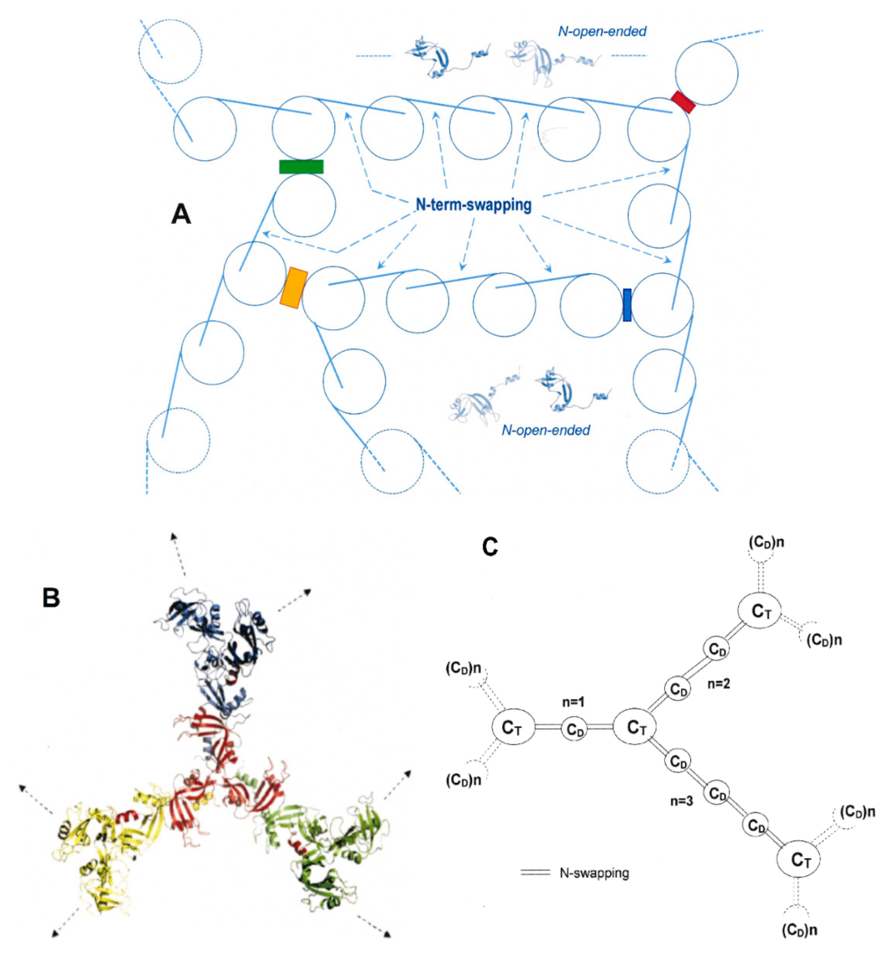 Ijms 23 11192 g008 Ijms 23 11192 g008