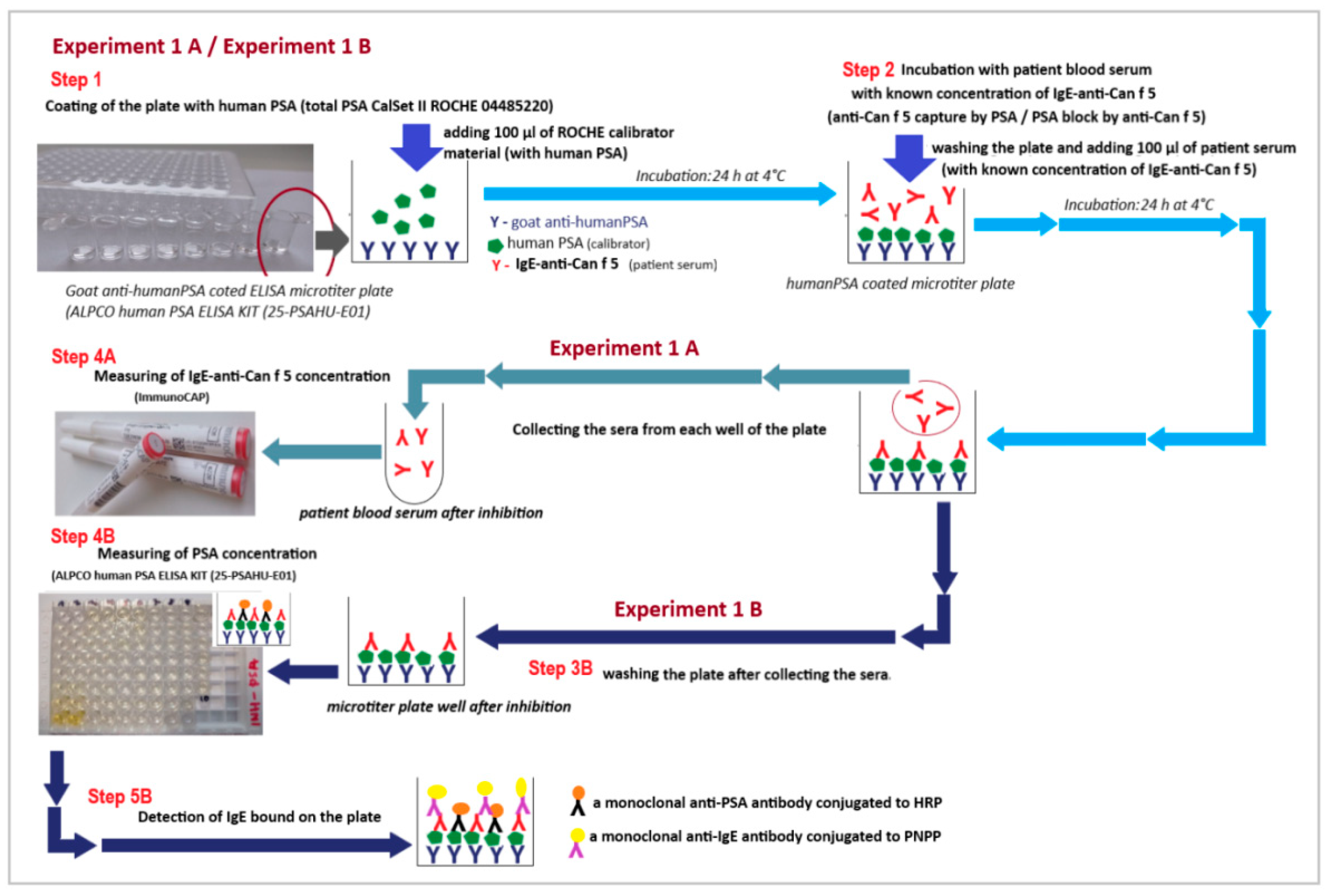 Ijms 23 11223 g008 Ijms 23 11223 g008