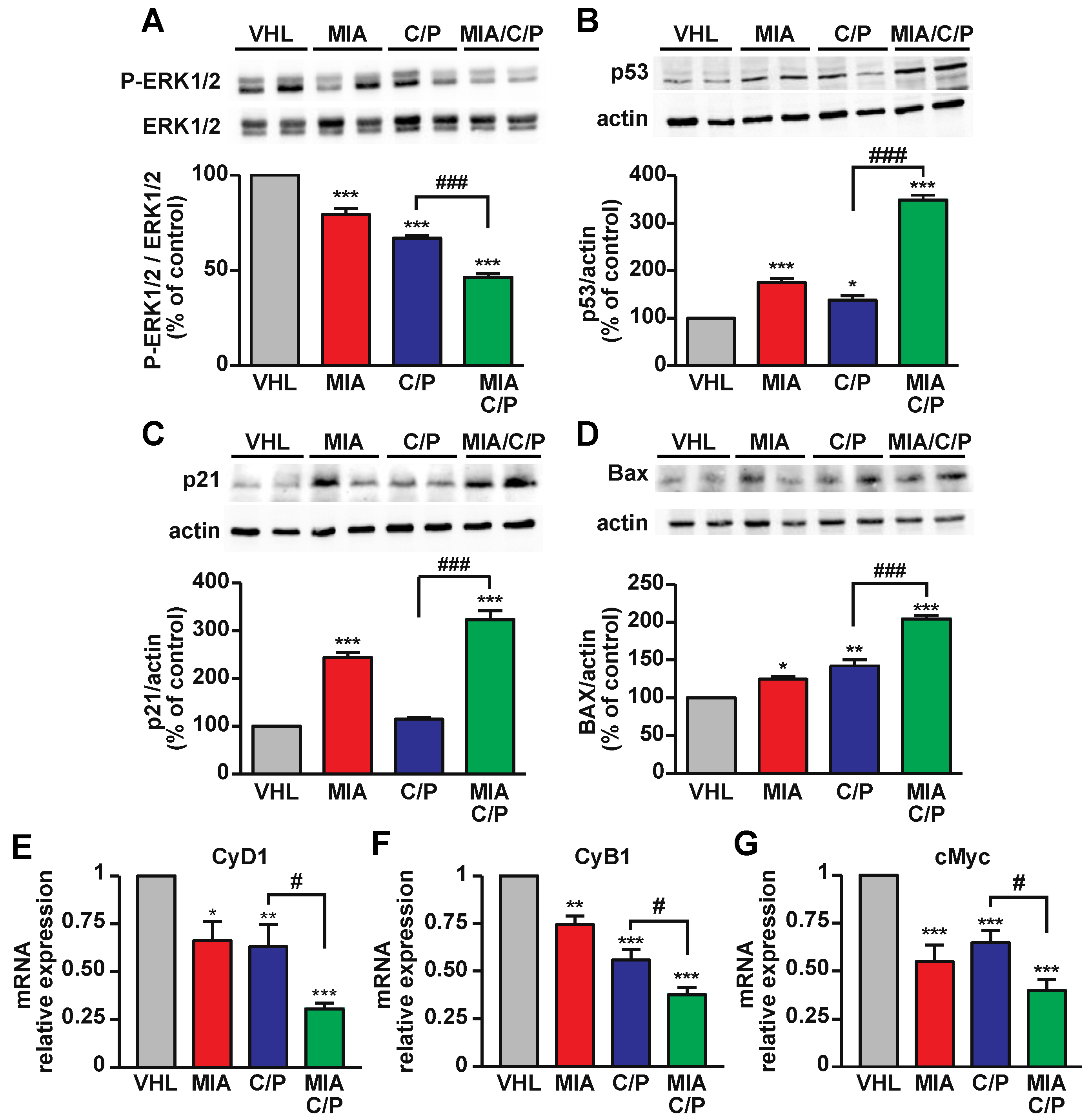 Ijms 23 11248 g003 Ijms 23 11248 g003