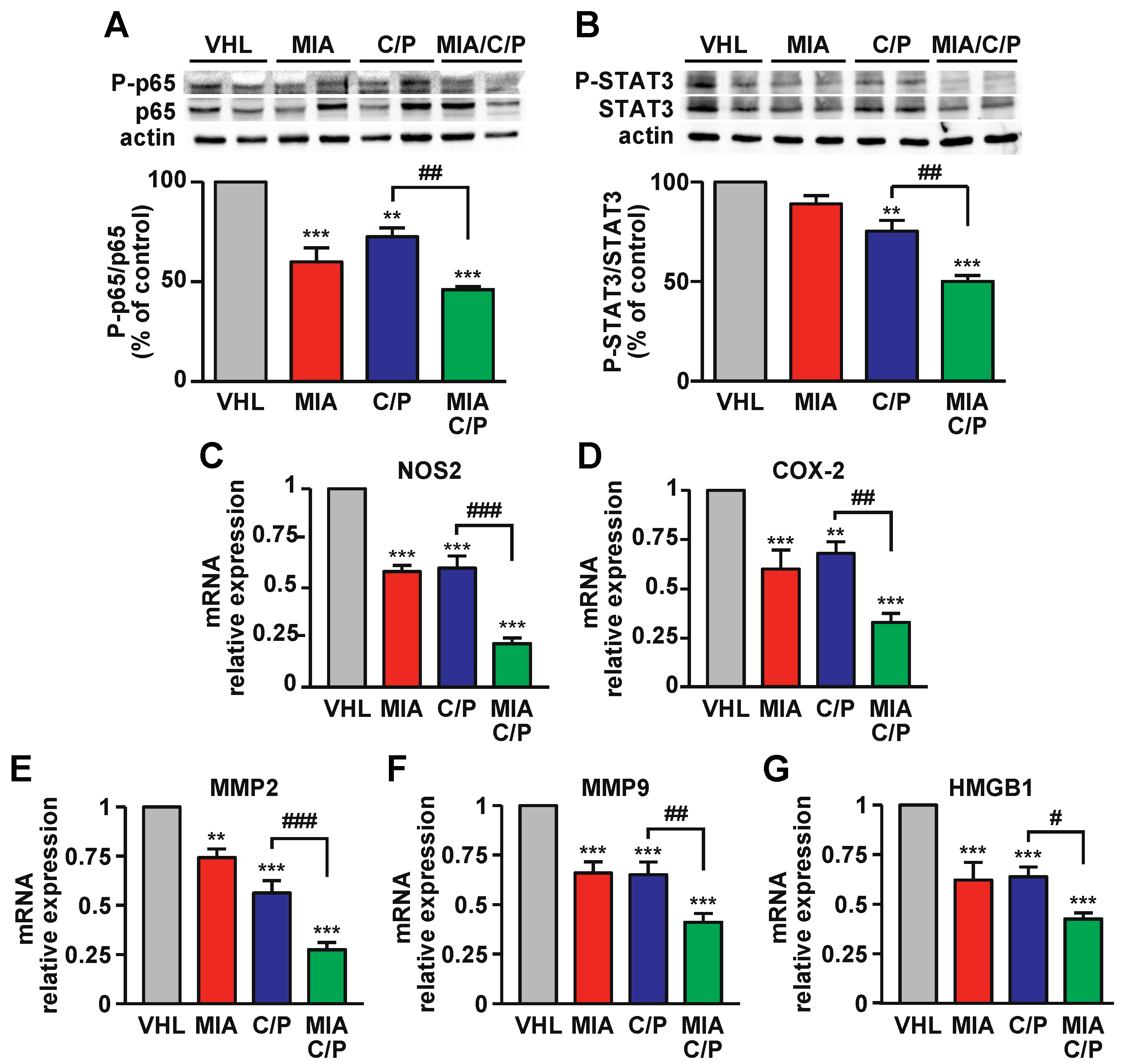Ijms 23 11248 g004 Ijms 23 11248 g004