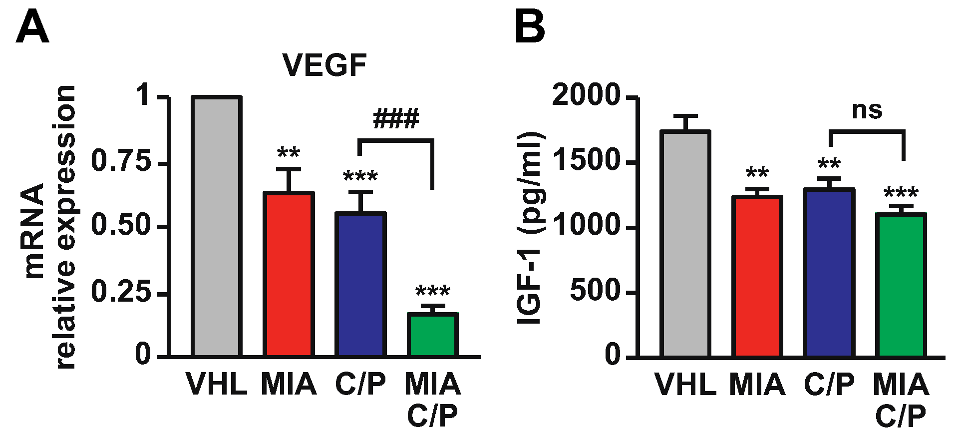 Ijms 23 11248 g005 Ijms 23 11248 g005