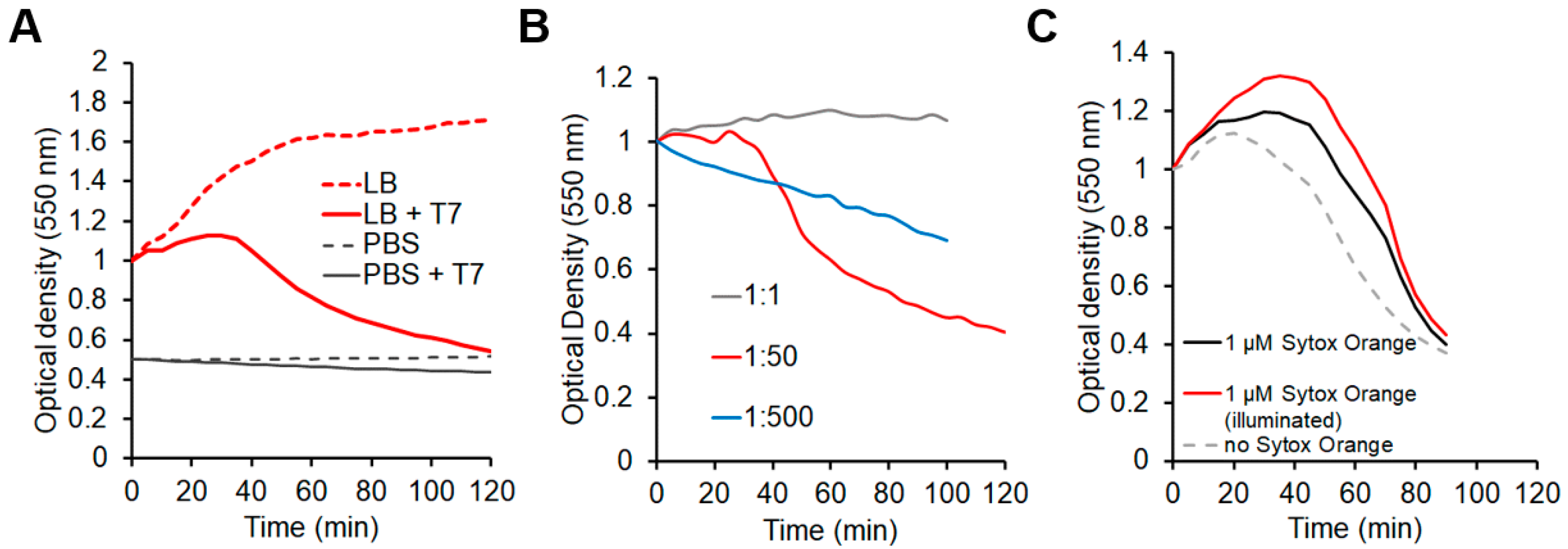Ijms 23 11252 g001 Ijms 23 11252 g001