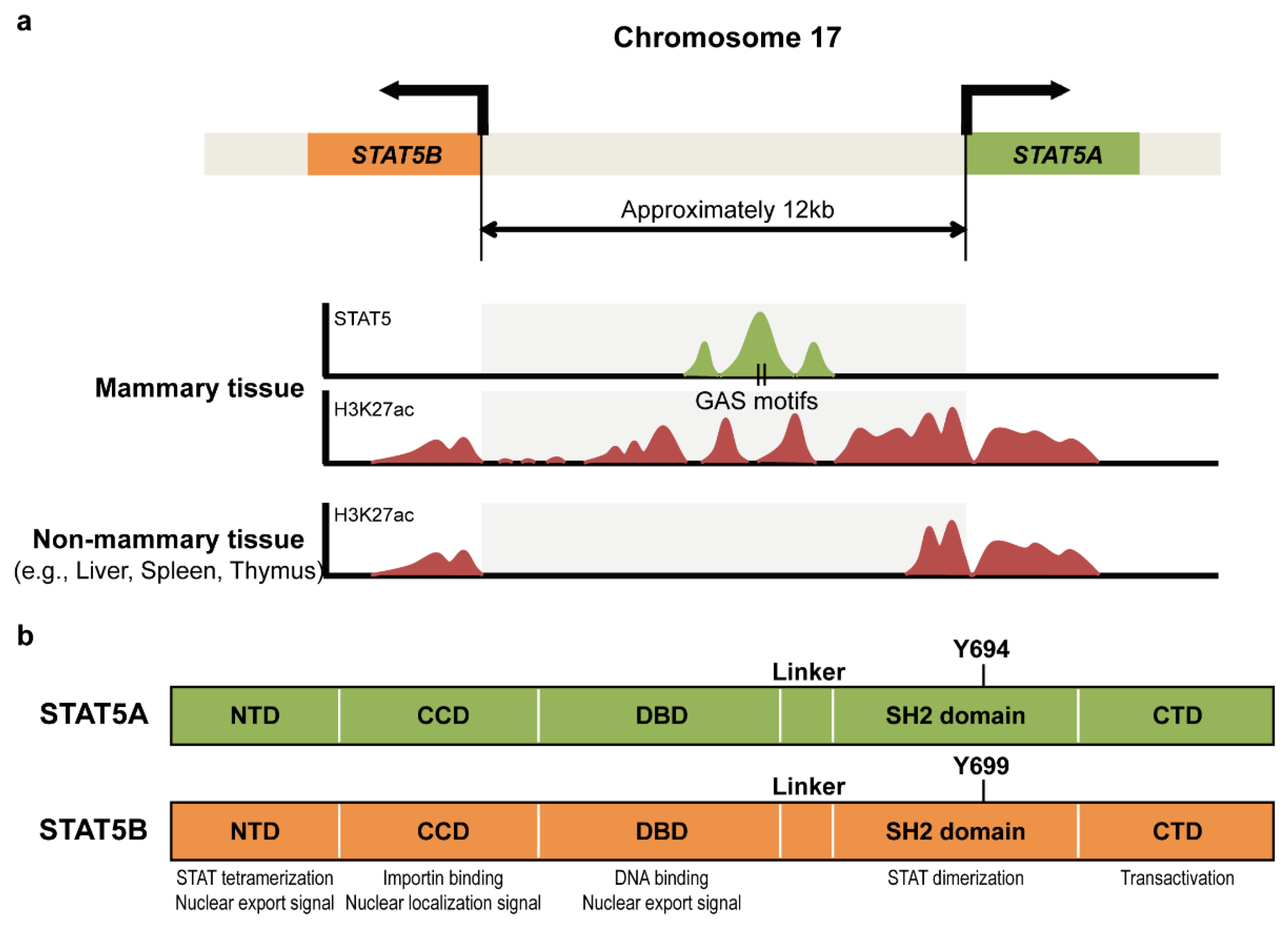 Ijms 23 11297 g001 Ijms 23 11297 g001
