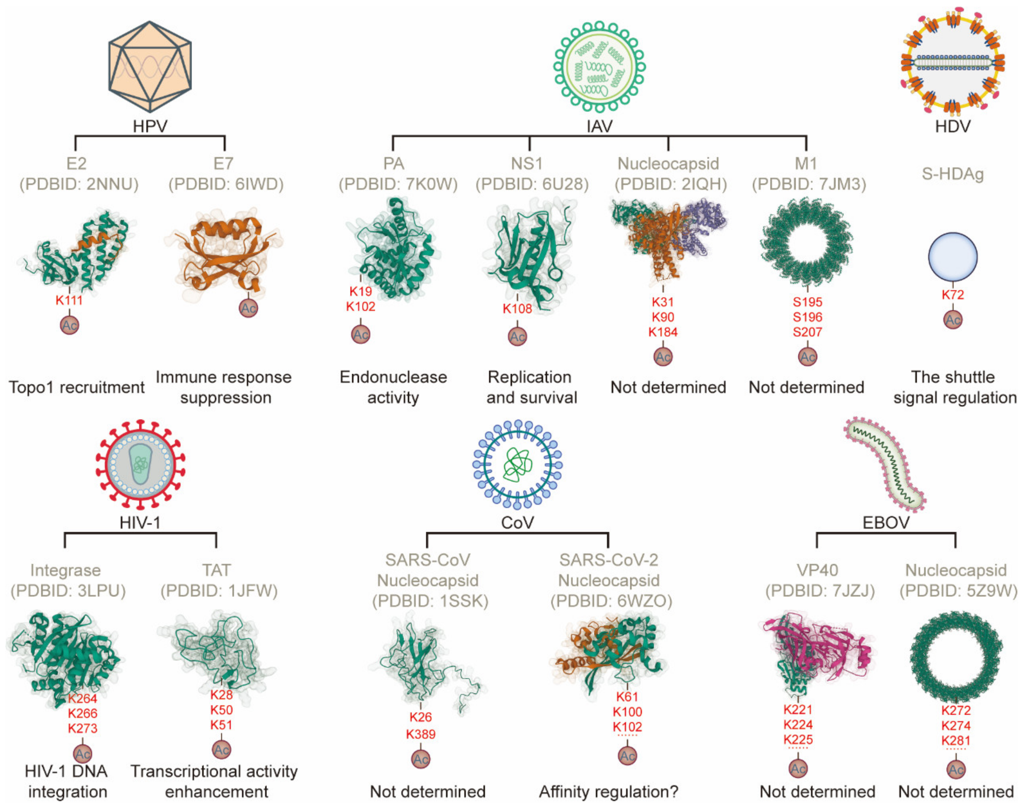 Ijms 23 11308 g002 Ijms 23 11308 g002