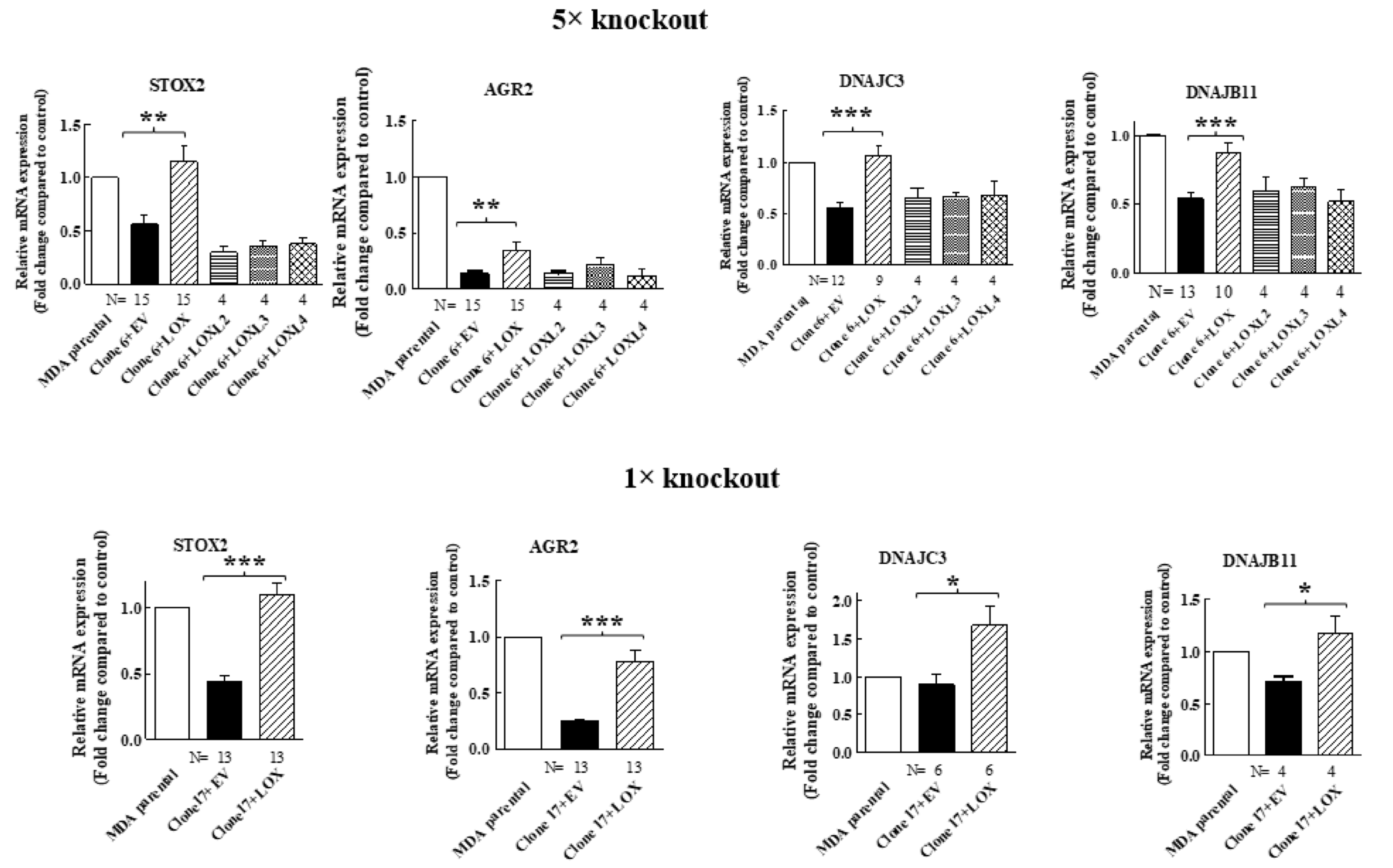 Ijms 23 11322 g003 Ijms 23 11322 g003