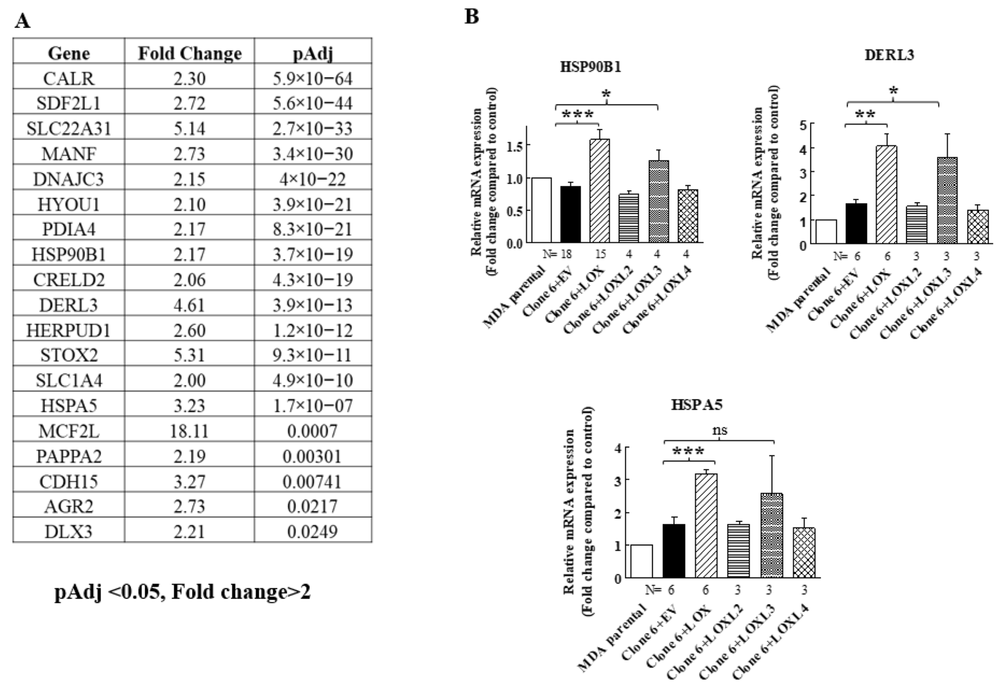 Ijms 23 11322 g004 Ijms 23 11322 g004