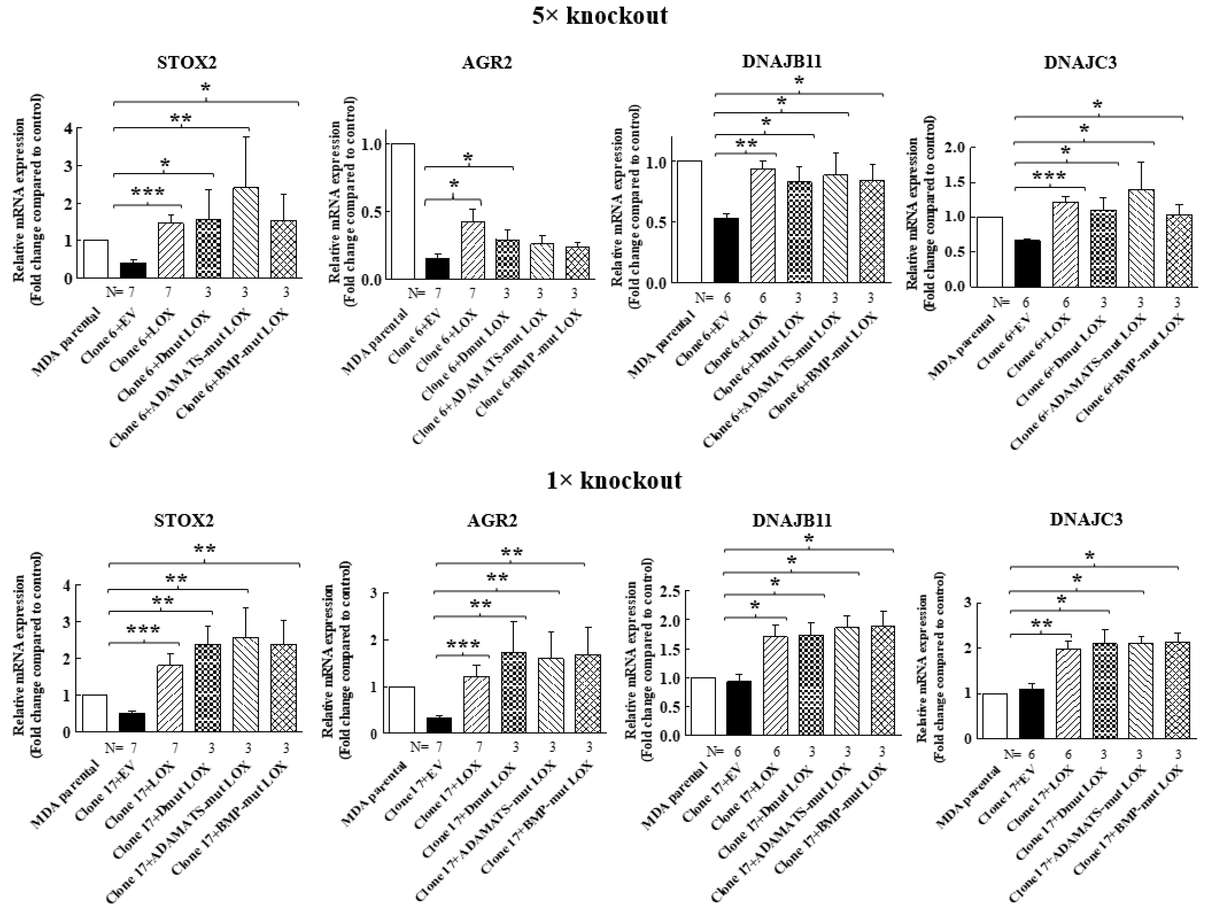 Ijms 23 11322 g007 Ijms 23 11322 g007