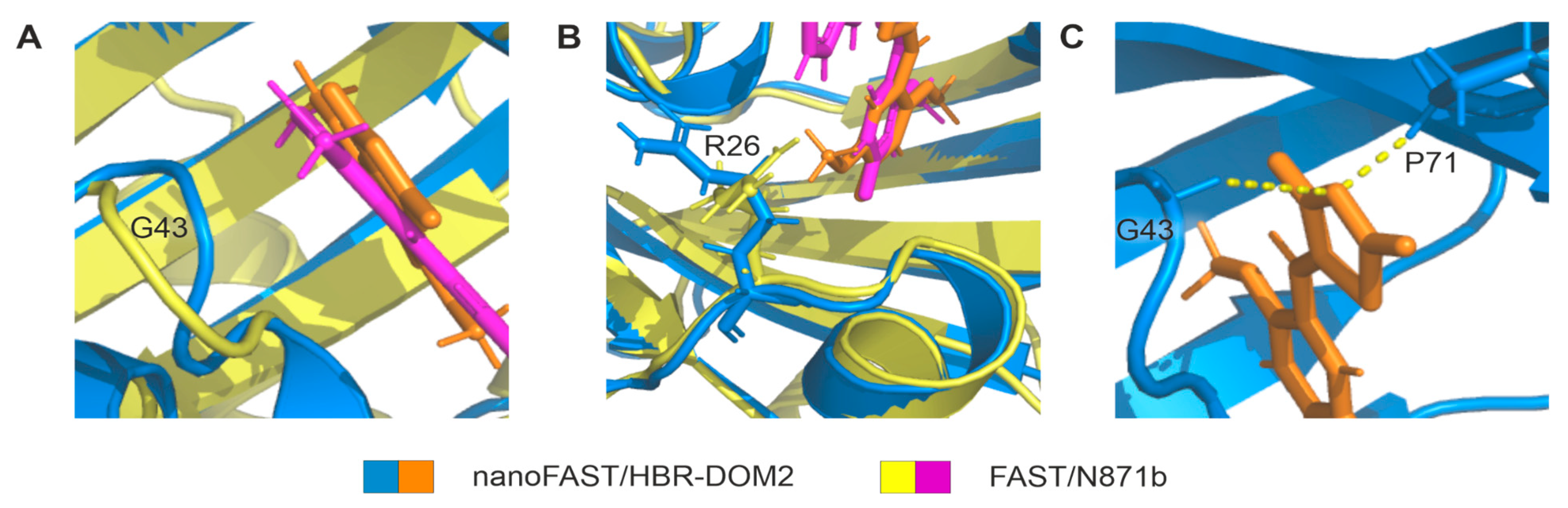Ijms 23 11361 g003 Ijms 23 11361 g003