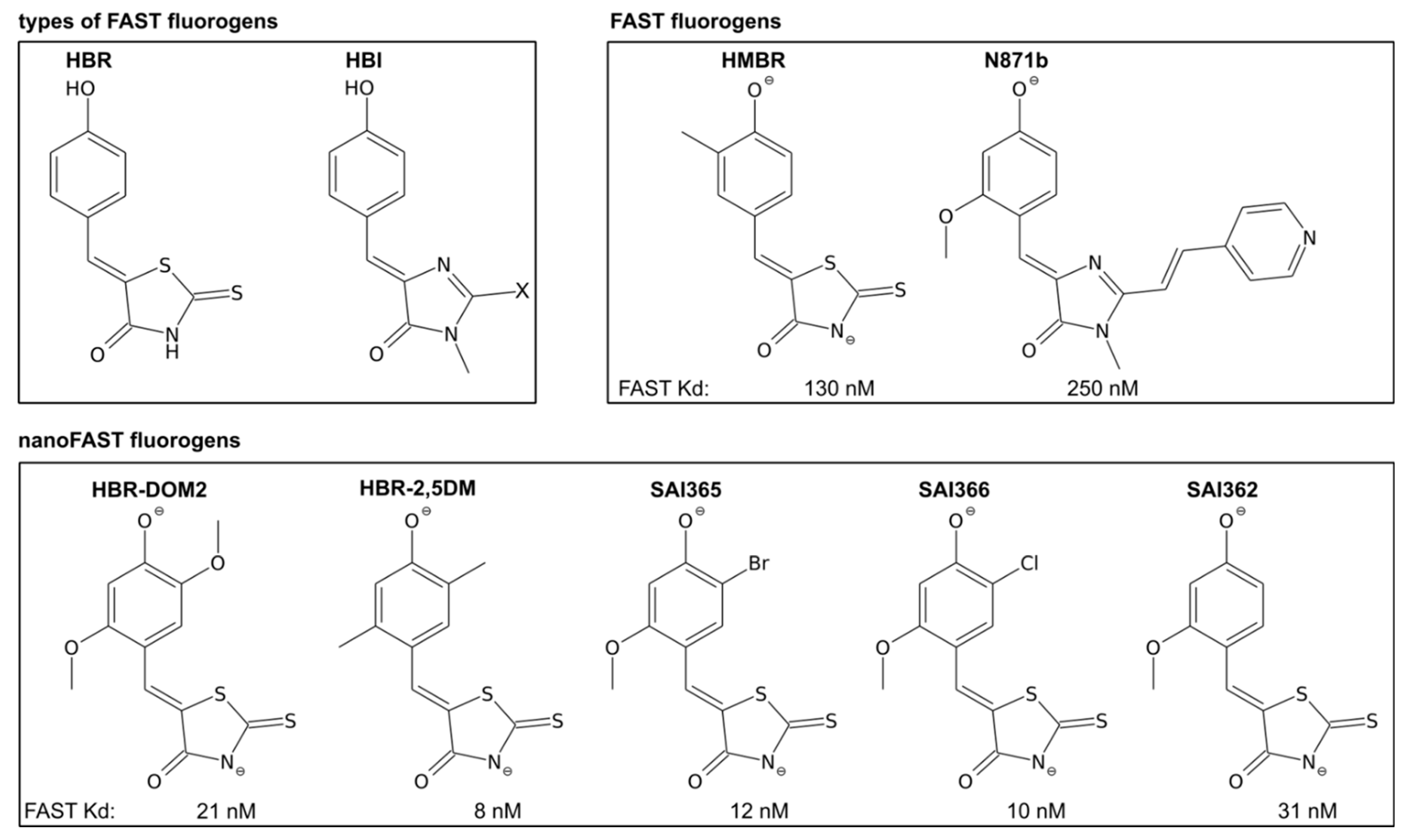 Ijms 23 11361 g004 Ijms 23 11361 g004