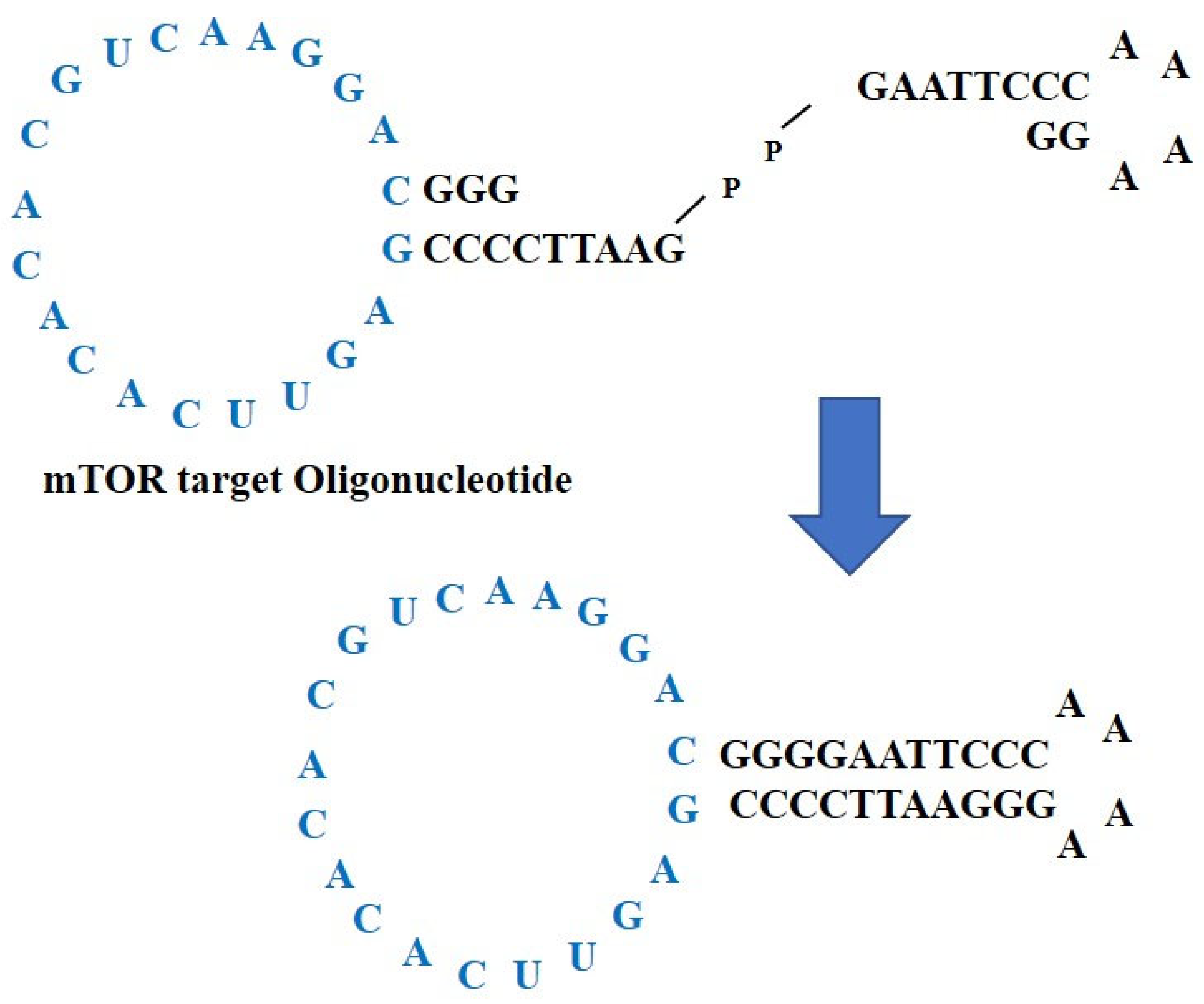 Ijms 23 11365 g001 Ijms 23 11365 g001