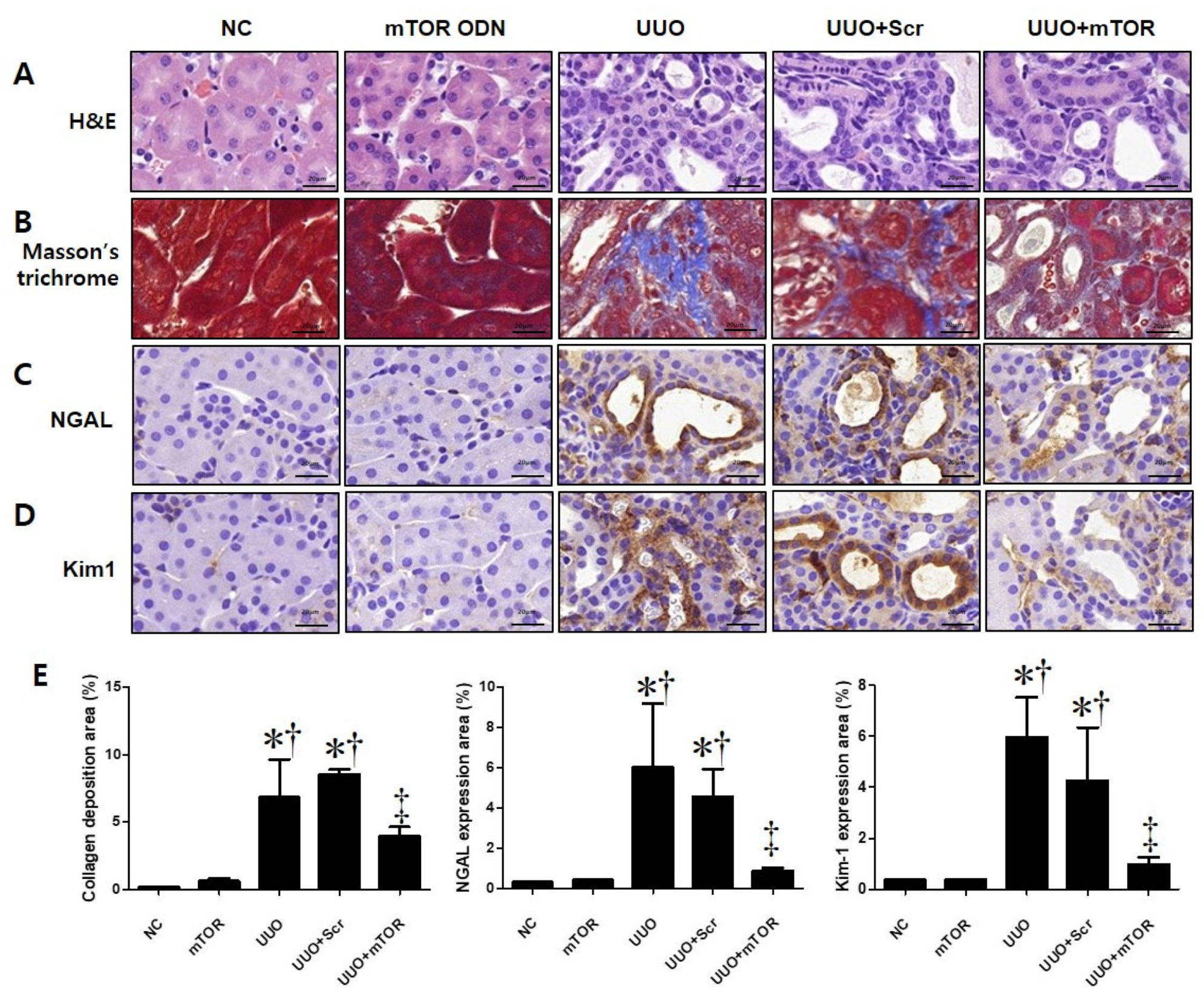 Ijms 23 11365 g002 Ijms 23 11365 g002