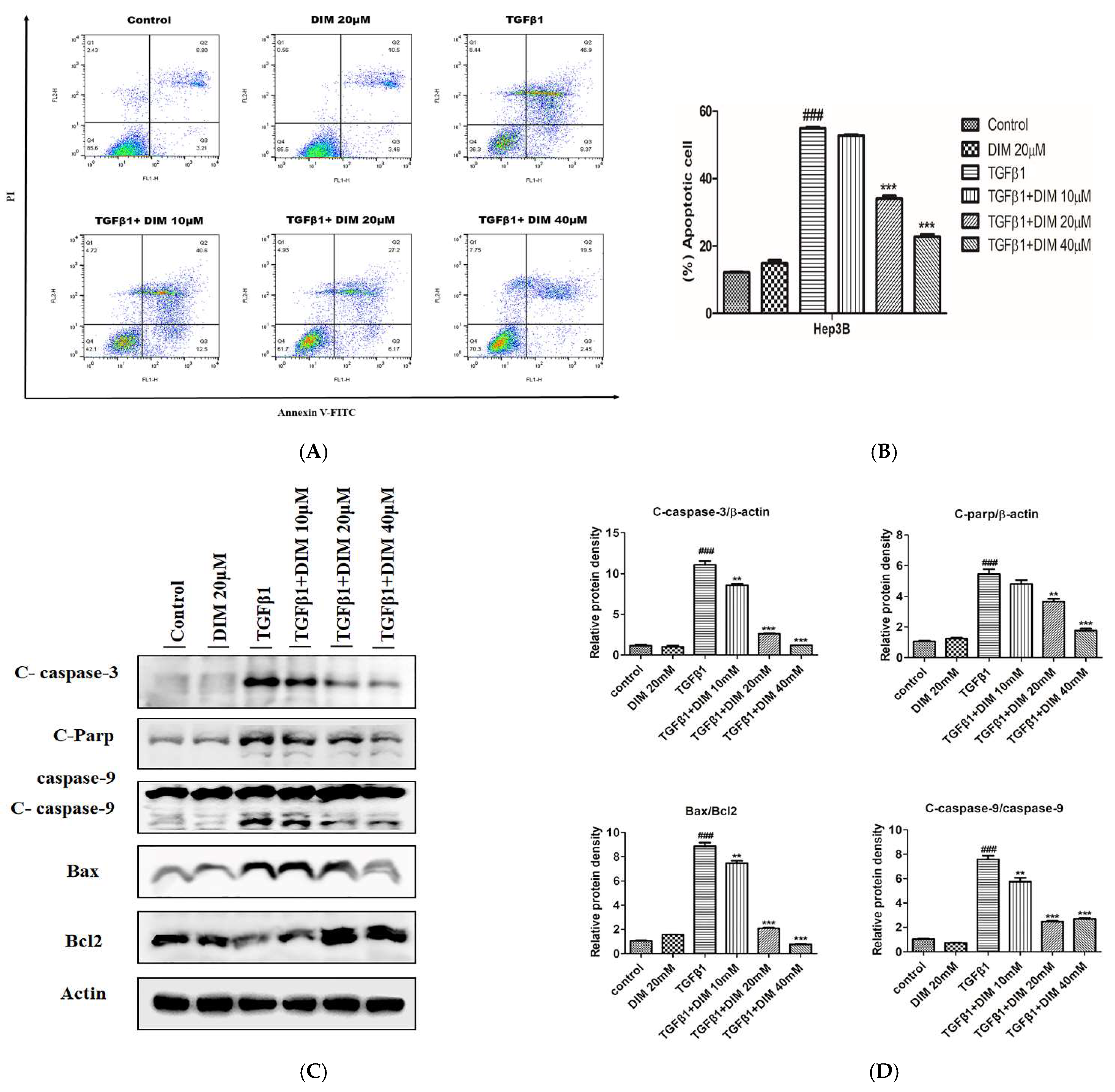 Ijms 23 11407 g004 Ijms 23 11407 g004