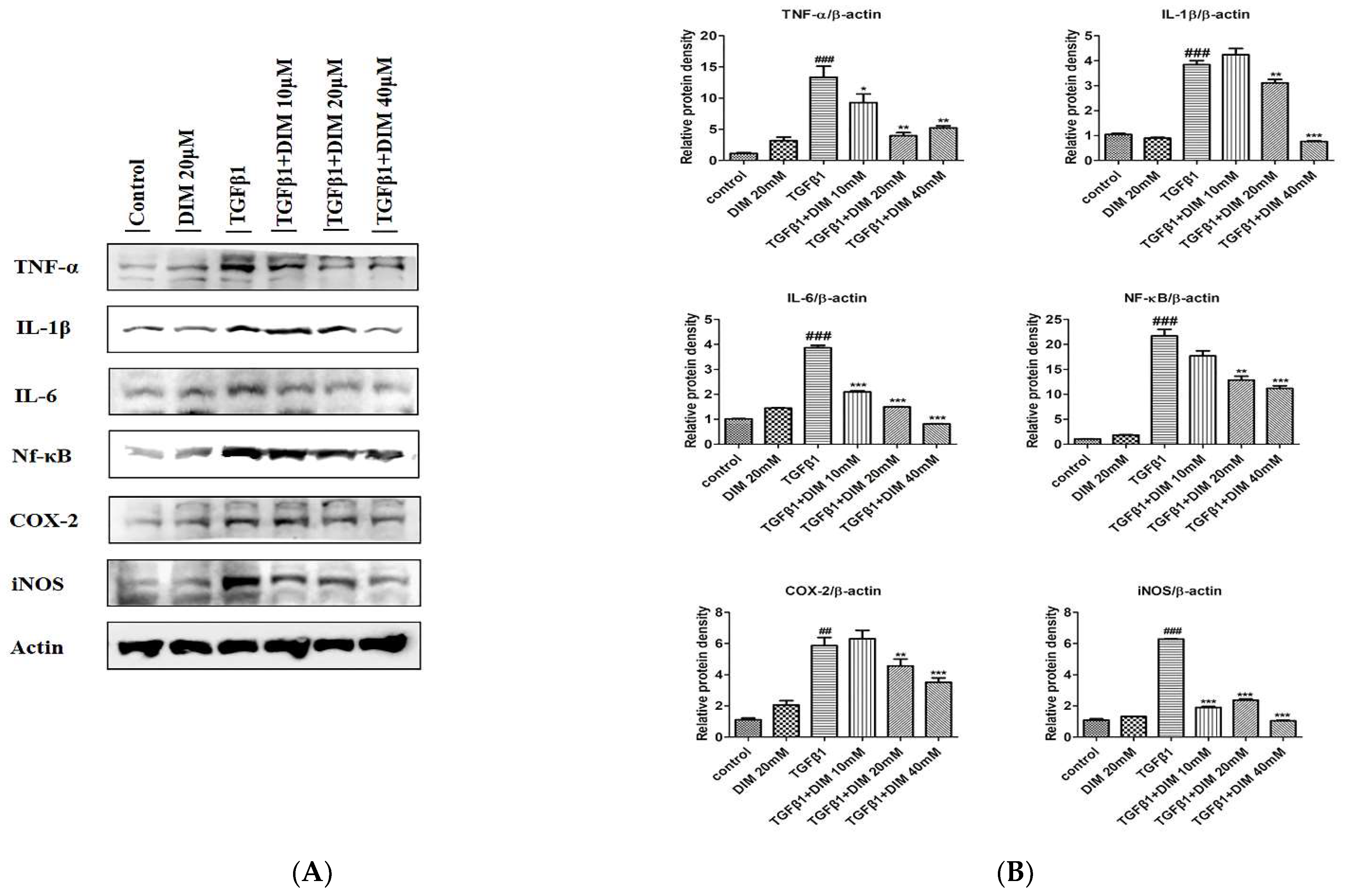 Ijms 23 11407 g005 Ijms 23 11407 g005