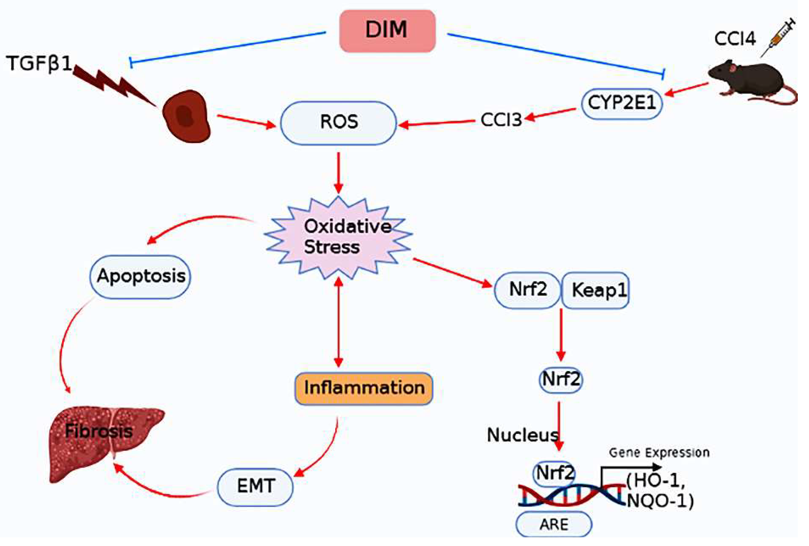 Ijms 23 11407 g010 Ijms 23 11407 g010