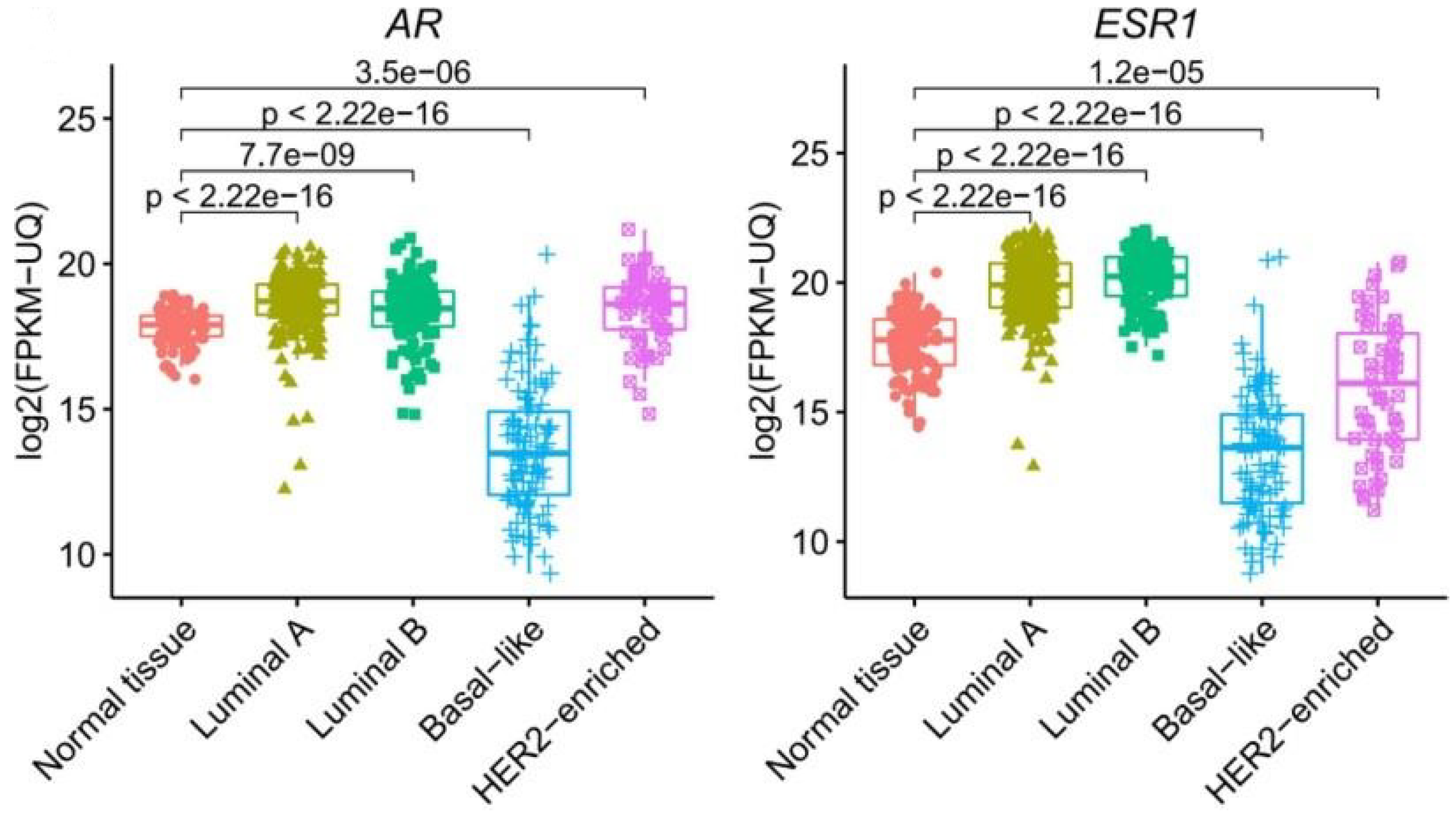 Ijms 23 11468 g004 Ijms 23 11468 g004