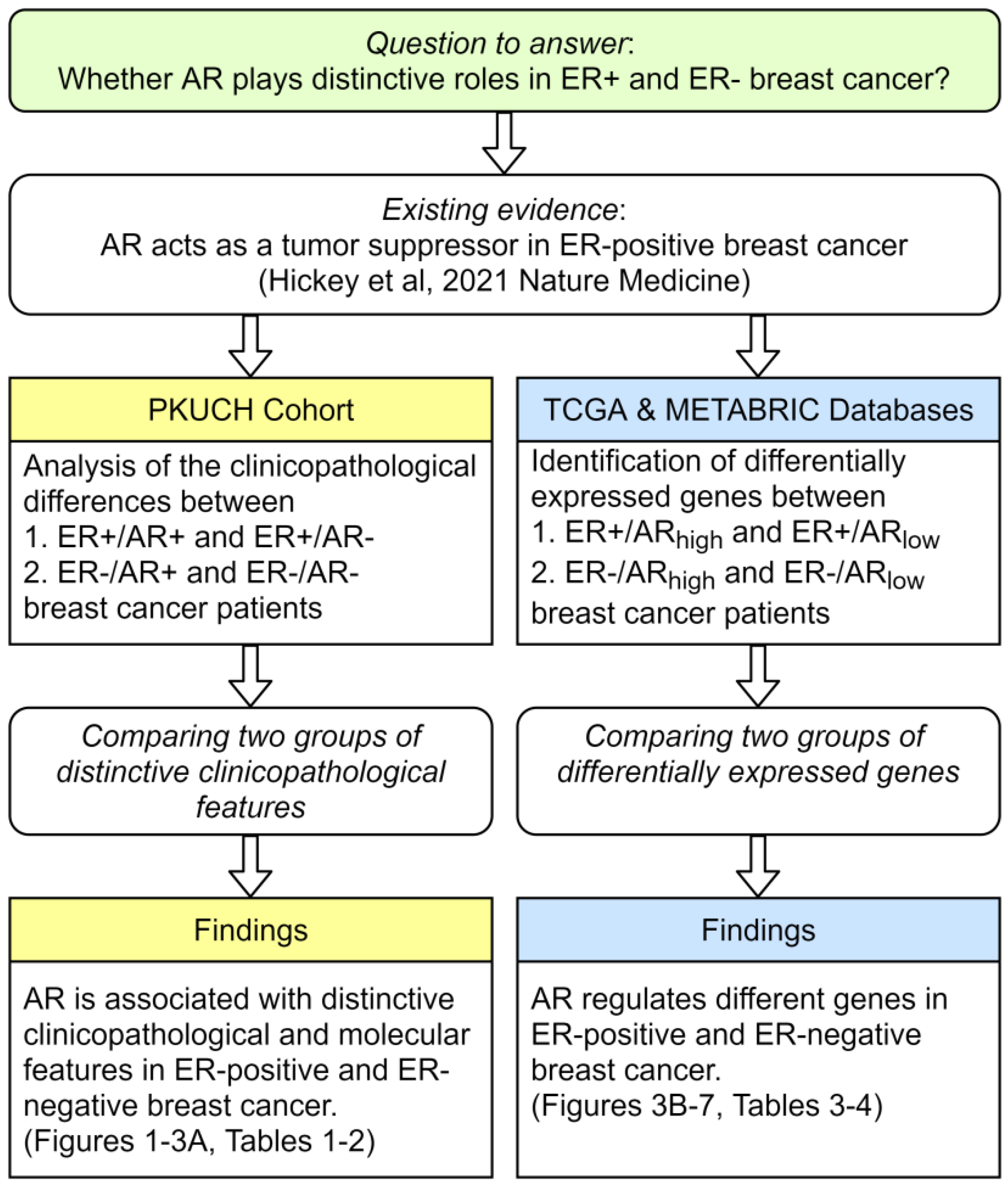 Ijms 23 11468 g008 Ijms 23 11468 g008