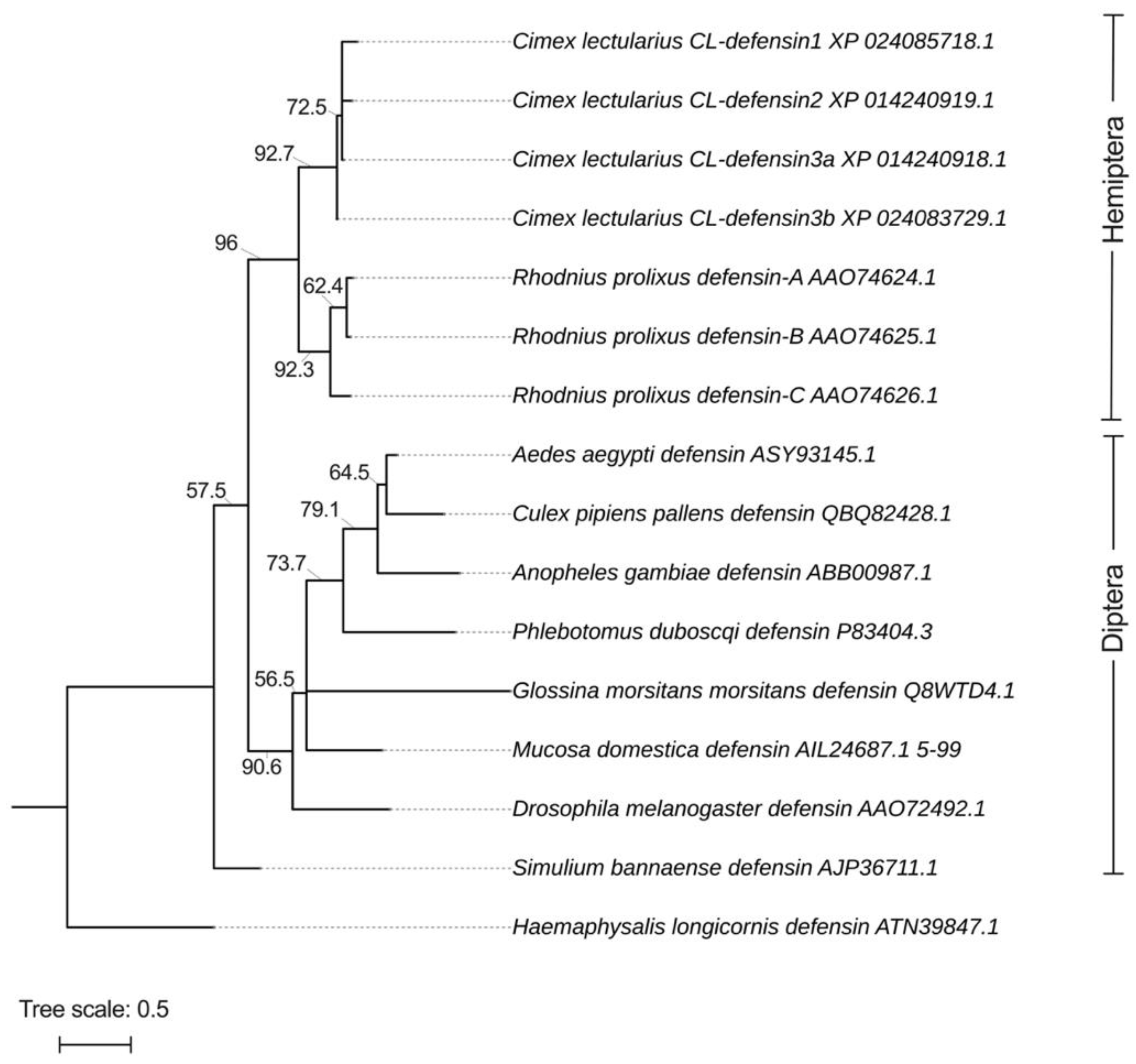 Ijms 23 11505 g002 Ijms 23 11505 g002