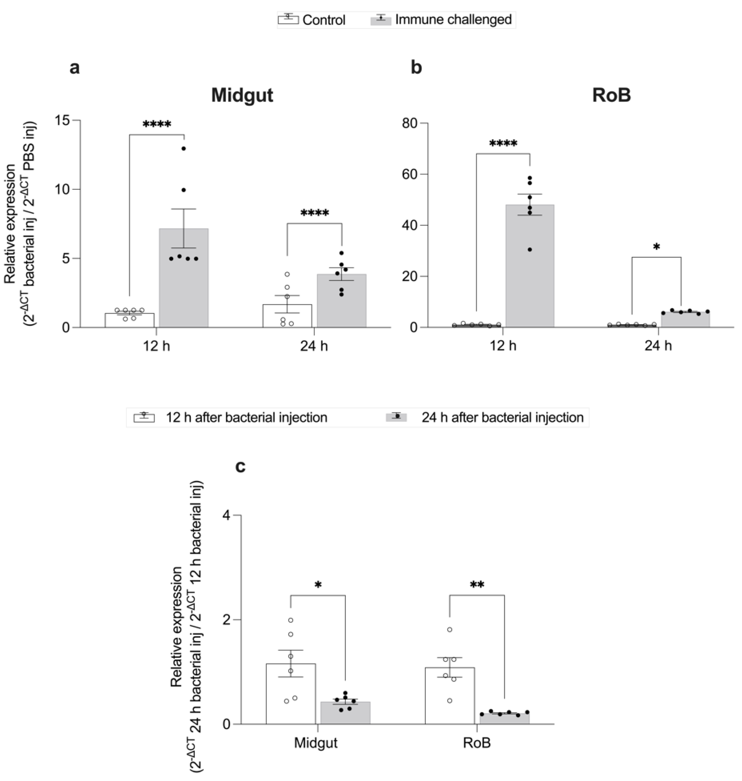 Ijms 23 11505 g003 Ijms 23 11505 g003