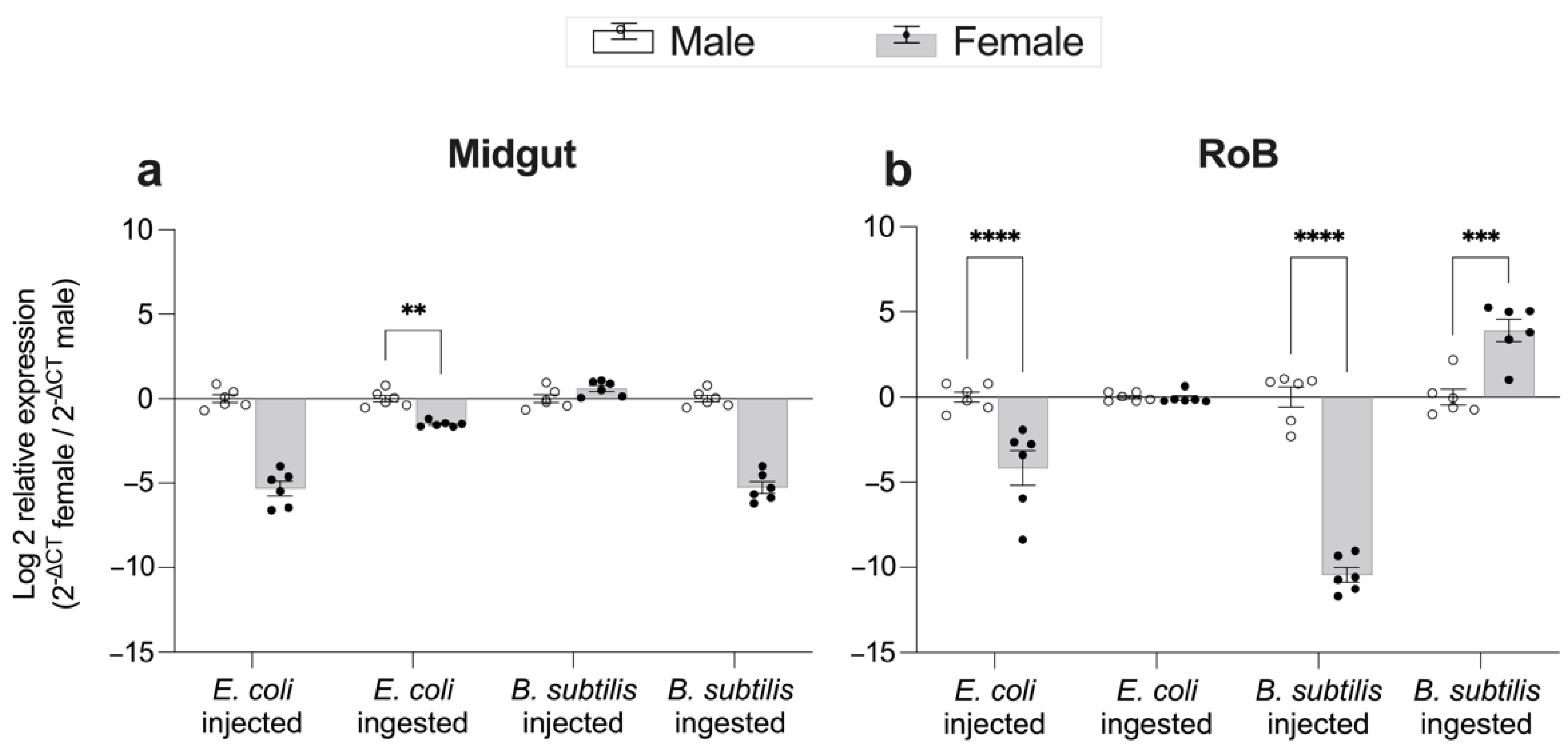 Ijms 23 11505 g006 Ijms 23 11505 g006