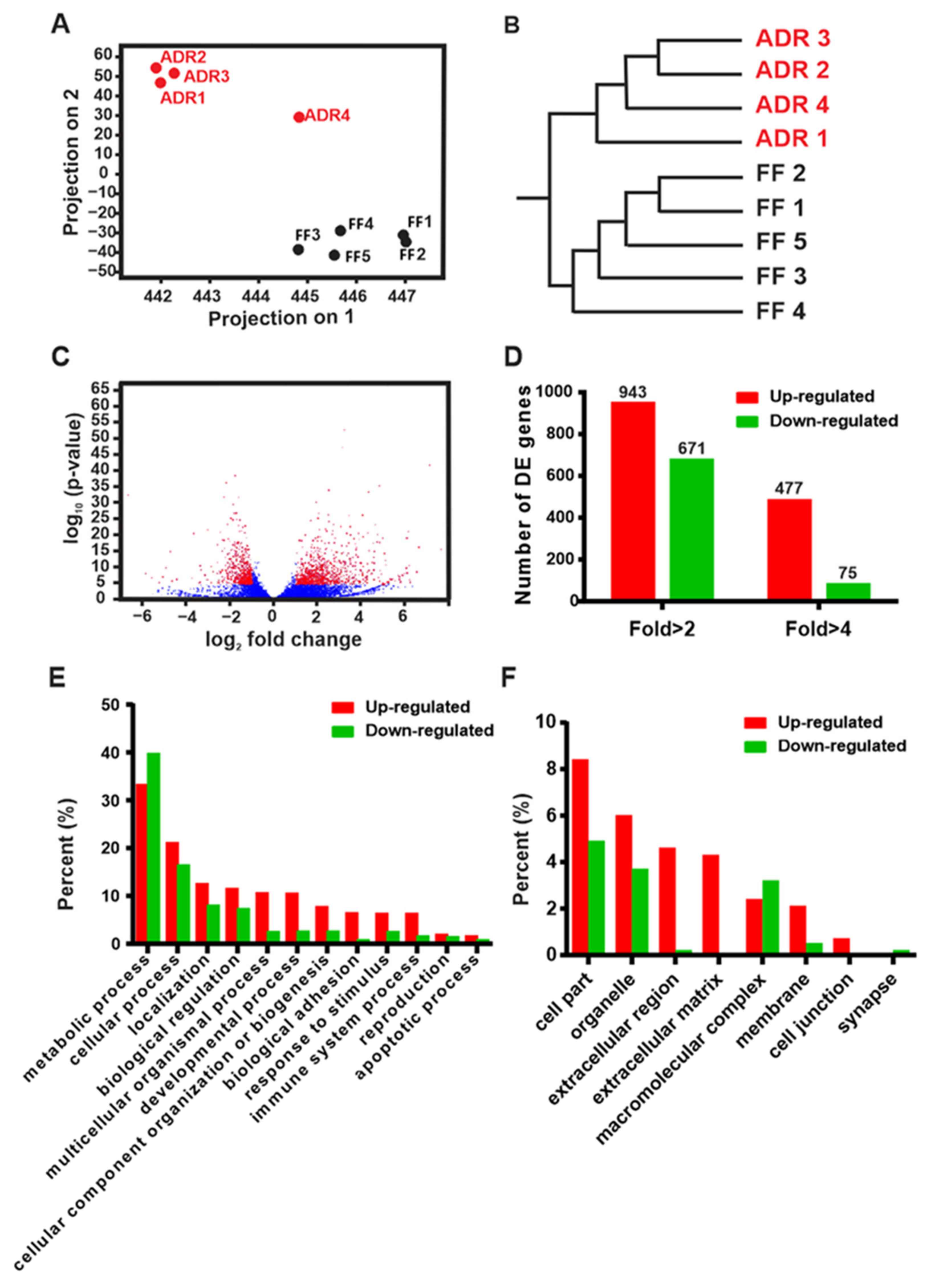 Ijms 23 11517 g001 Ijms 23 11517 g001