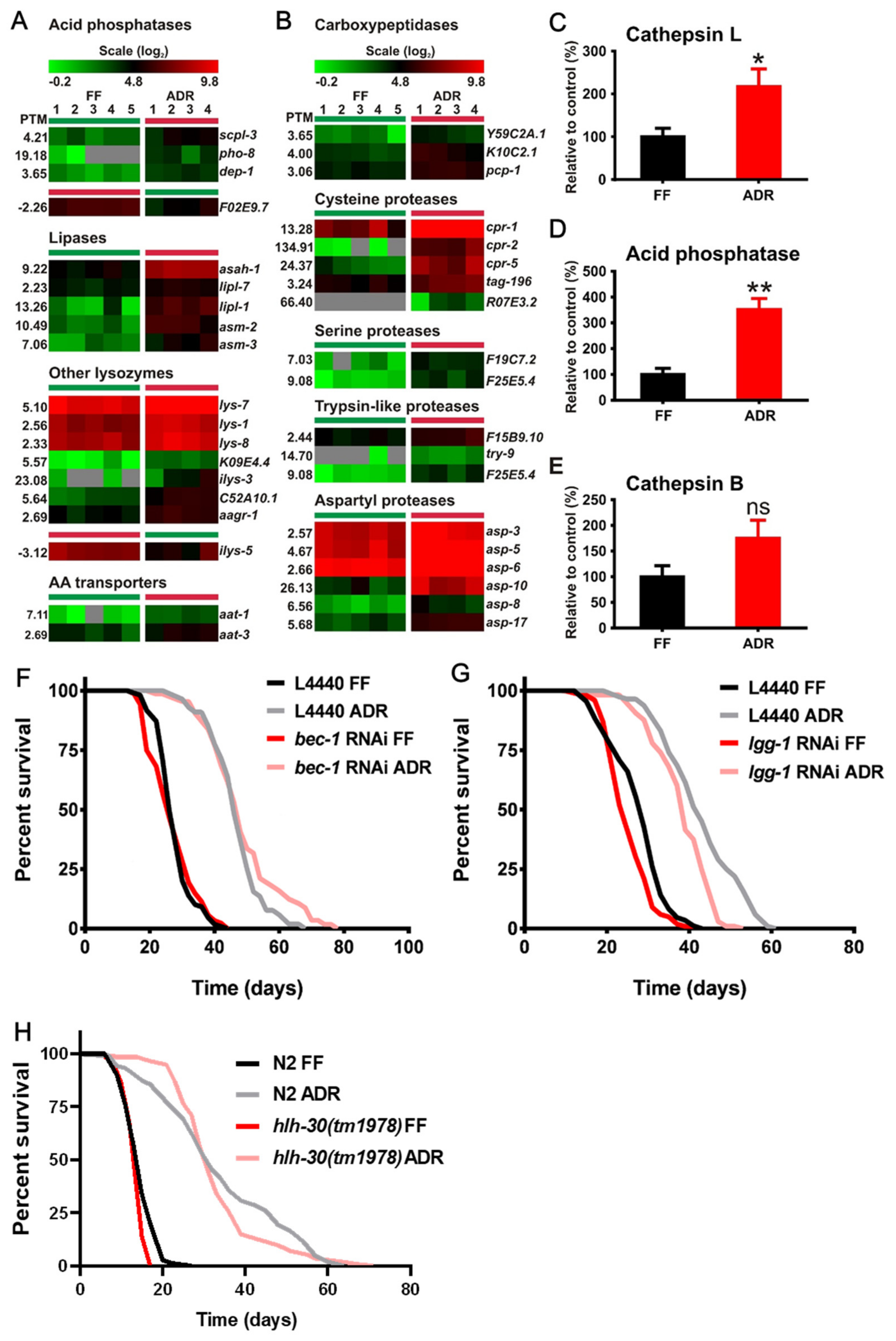 Ijms 23 11517 g002 Ijms 23 11517 g002