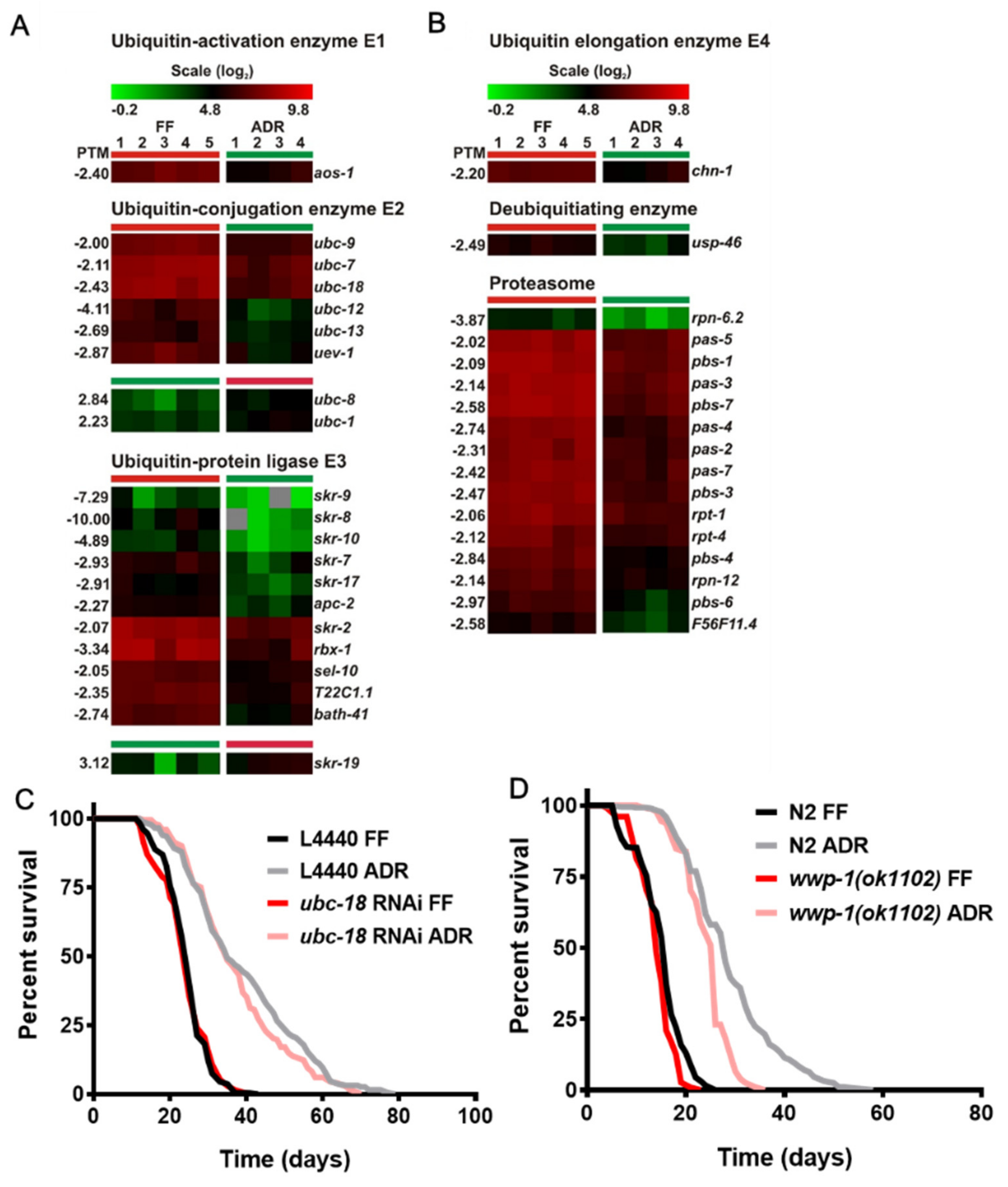 Ijms 23 11517 g003 Ijms 23 11517 g003