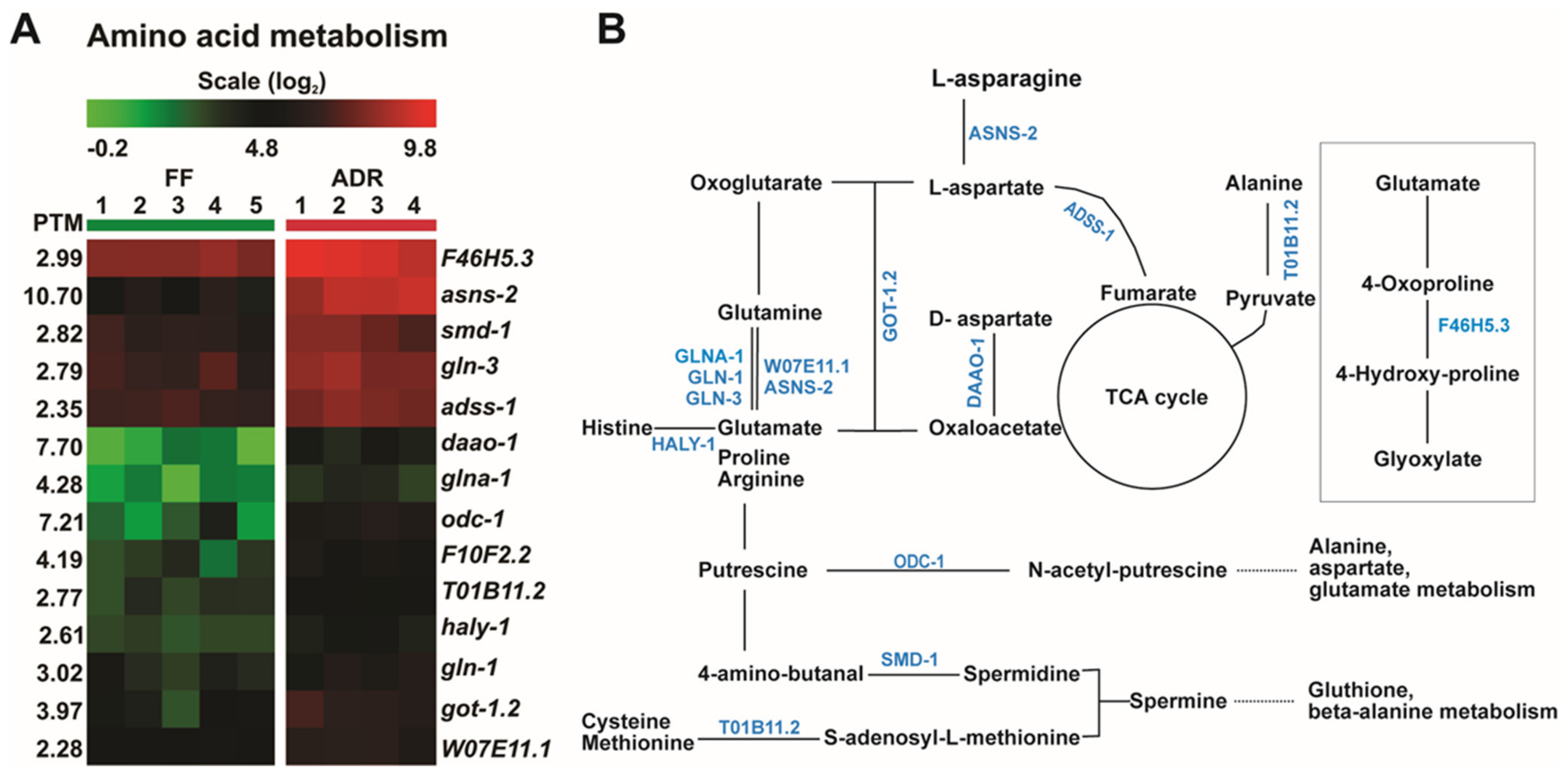 Ijms 23 11517 g004 Ijms 23 11517 g004