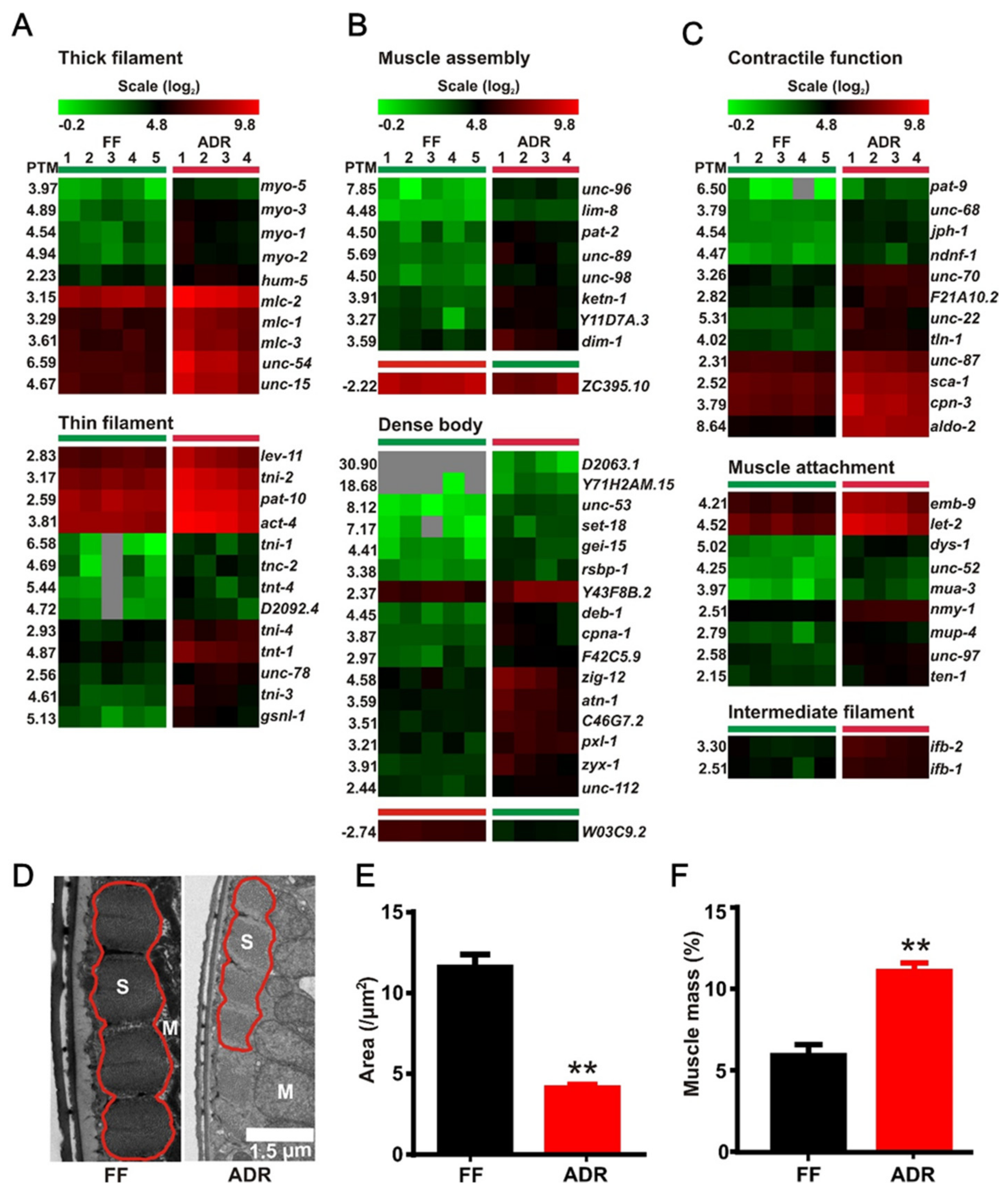 Ijms 23 11517 g006 Ijms 23 11517 g006