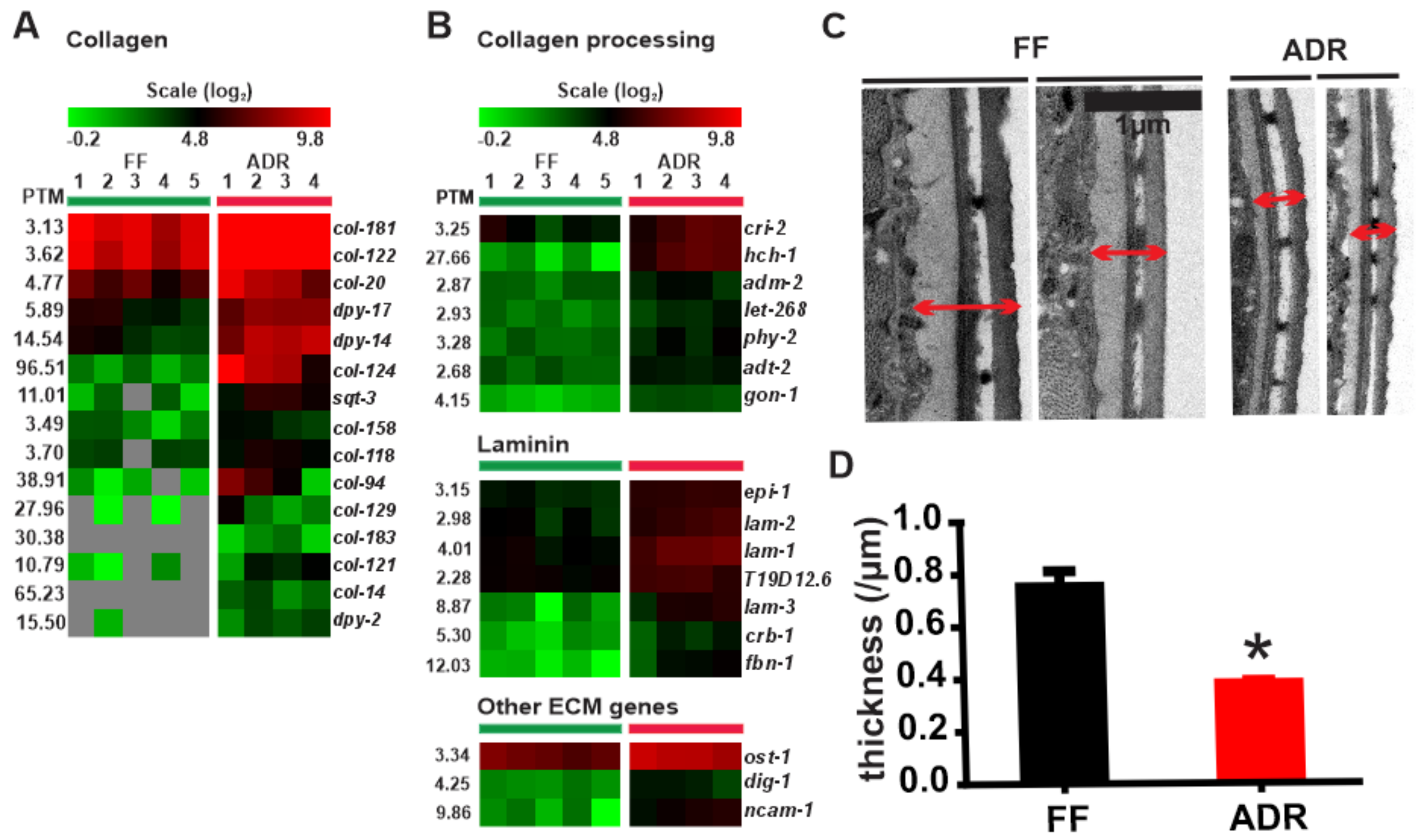 Ijms 23 11517 g007 Ijms 23 11517 g007