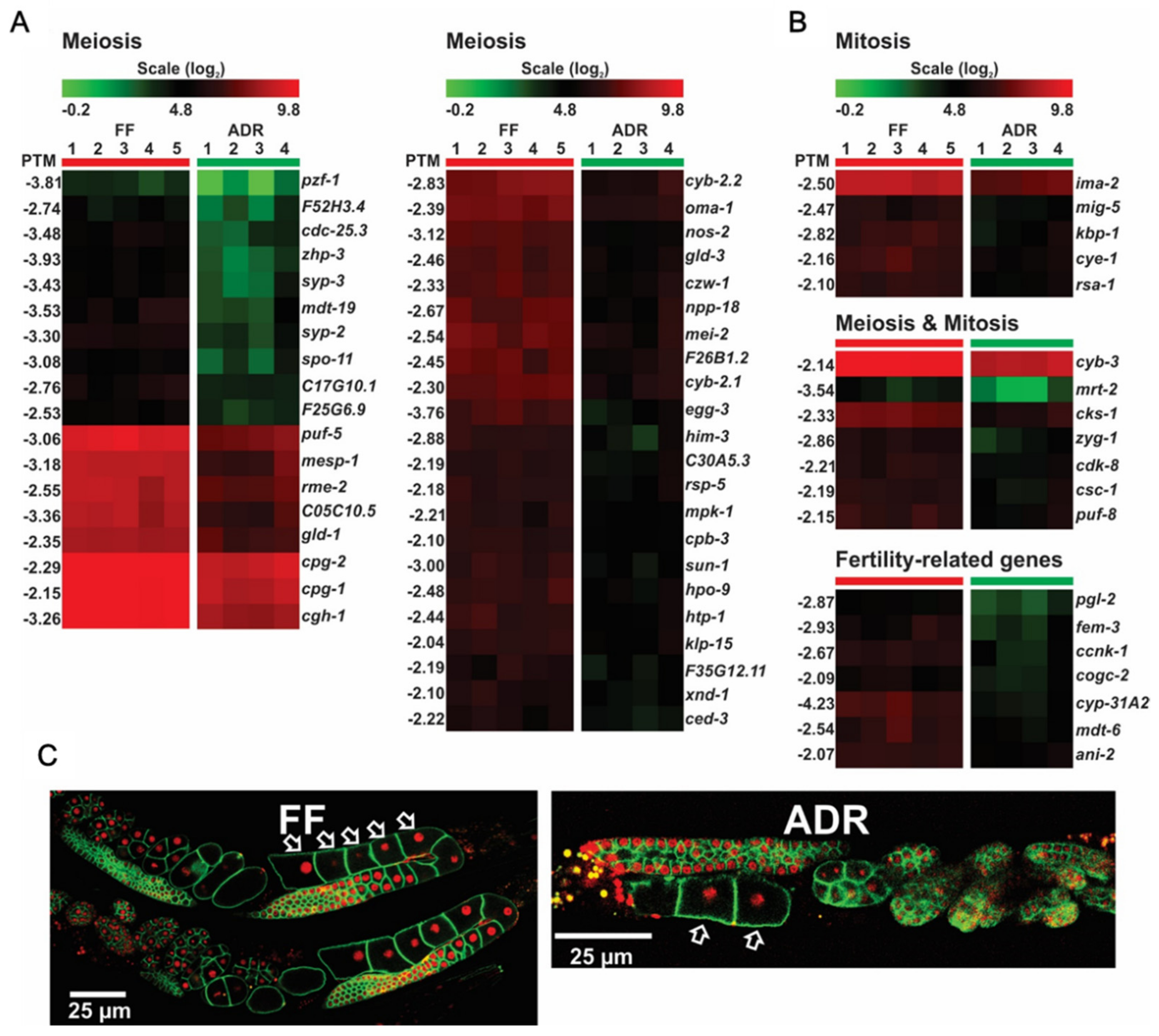 Ijms 23 11517 g008 Ijms 23 11517 g008
