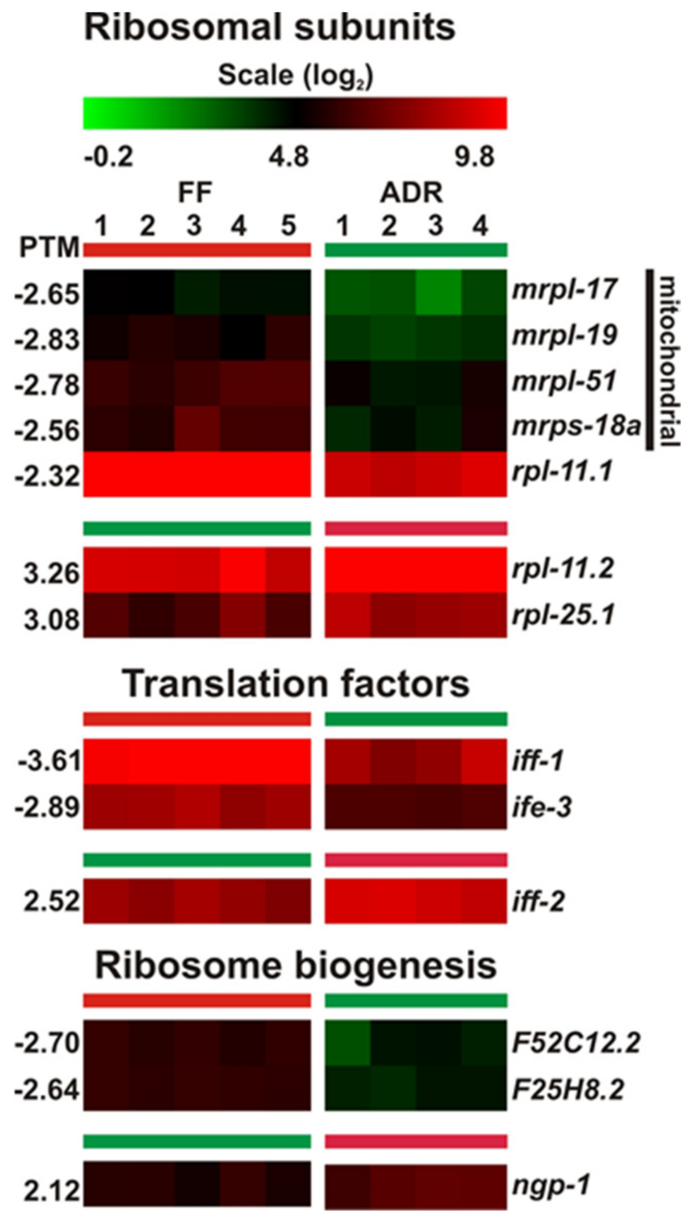 Ijms 23 11517 g011 Ijms 23 11517 g011