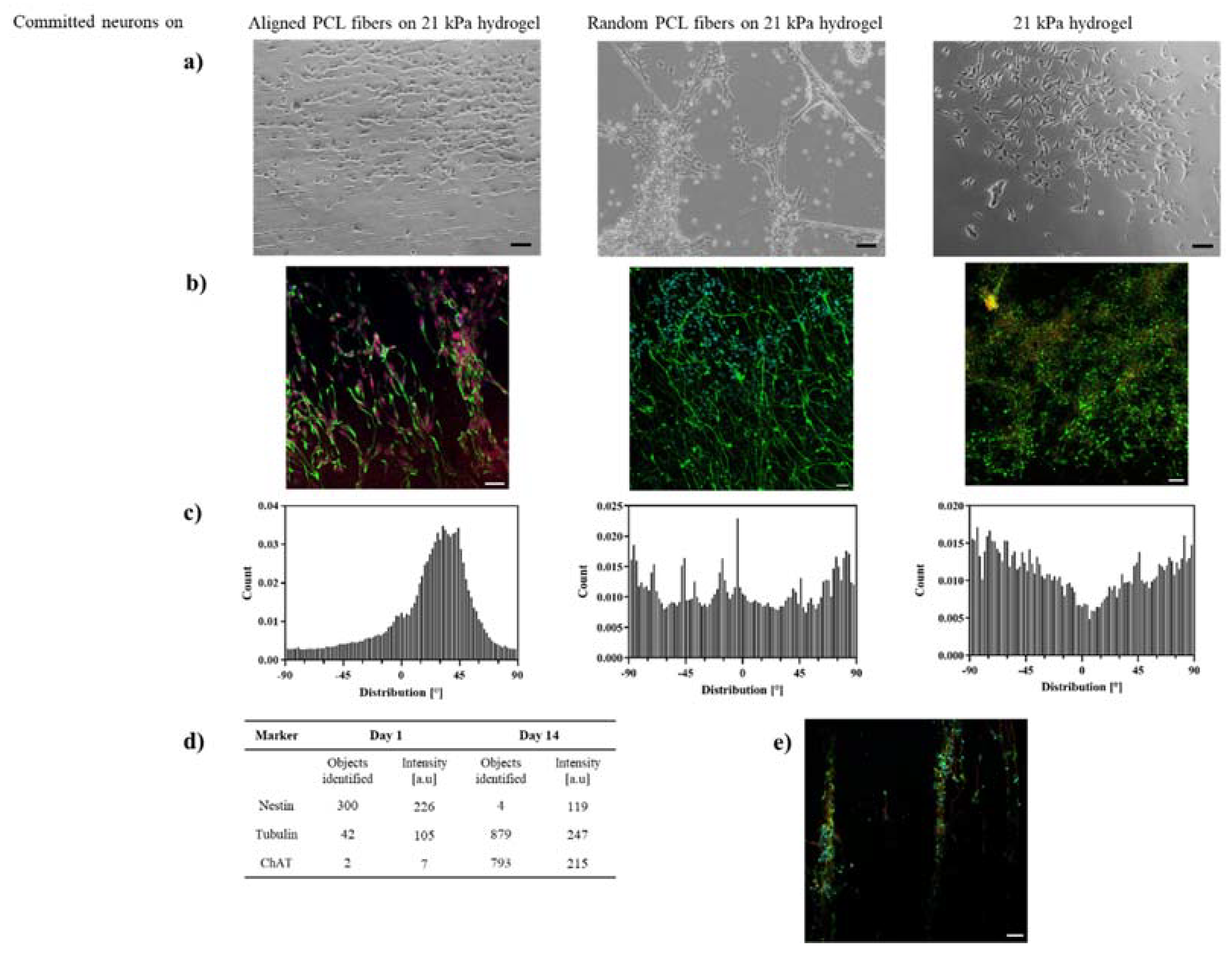 Directional Submicrofiber Hydrogel Composite Scaffolds Supporting ...