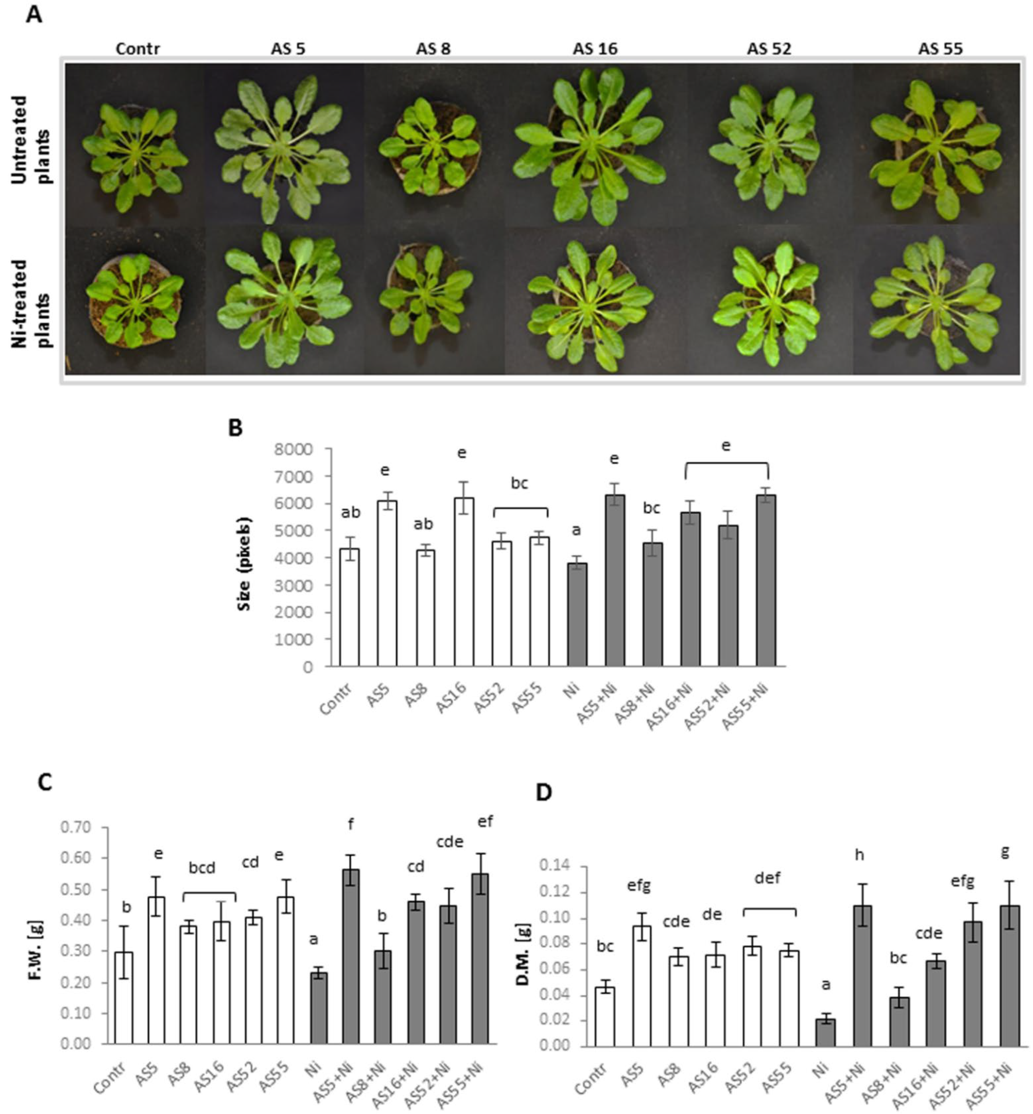 Ijms 23 11538 g002 Ijms 23 11538 g002