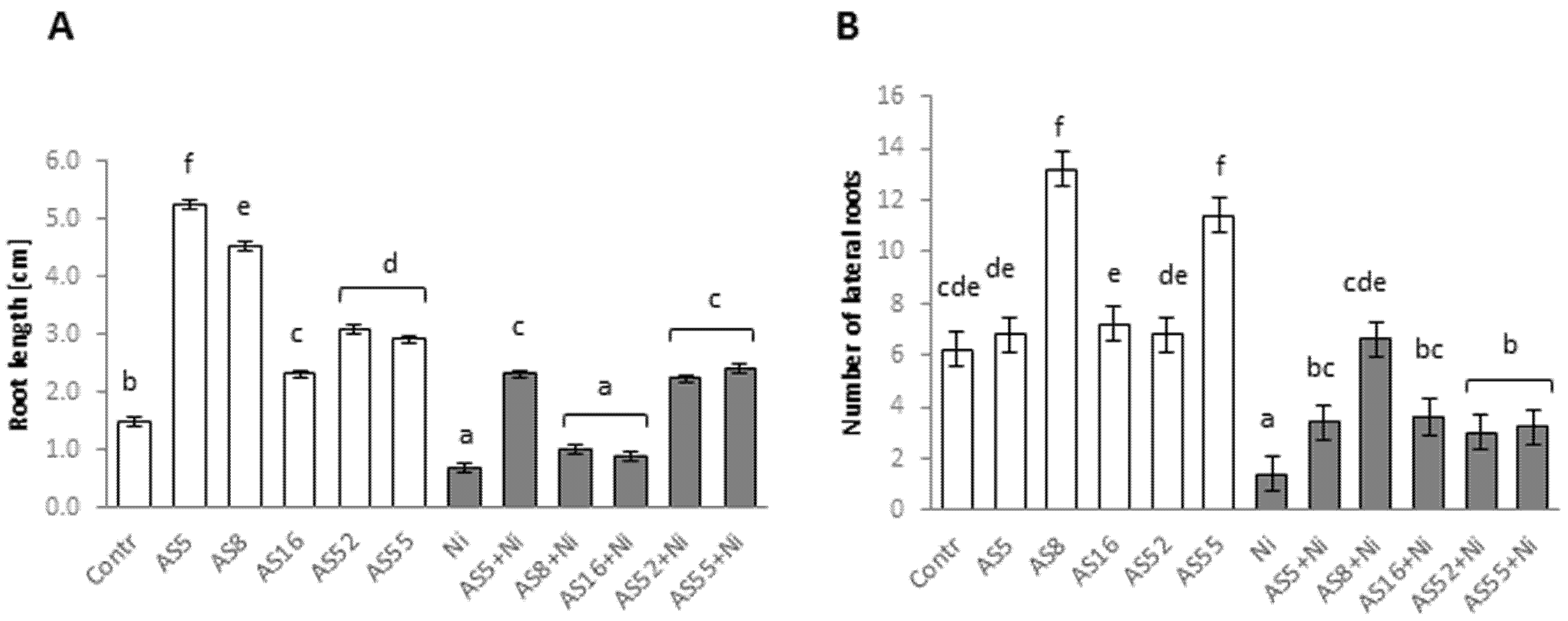 Ijms 23 11538 g003 Ijms 23 11538 g003