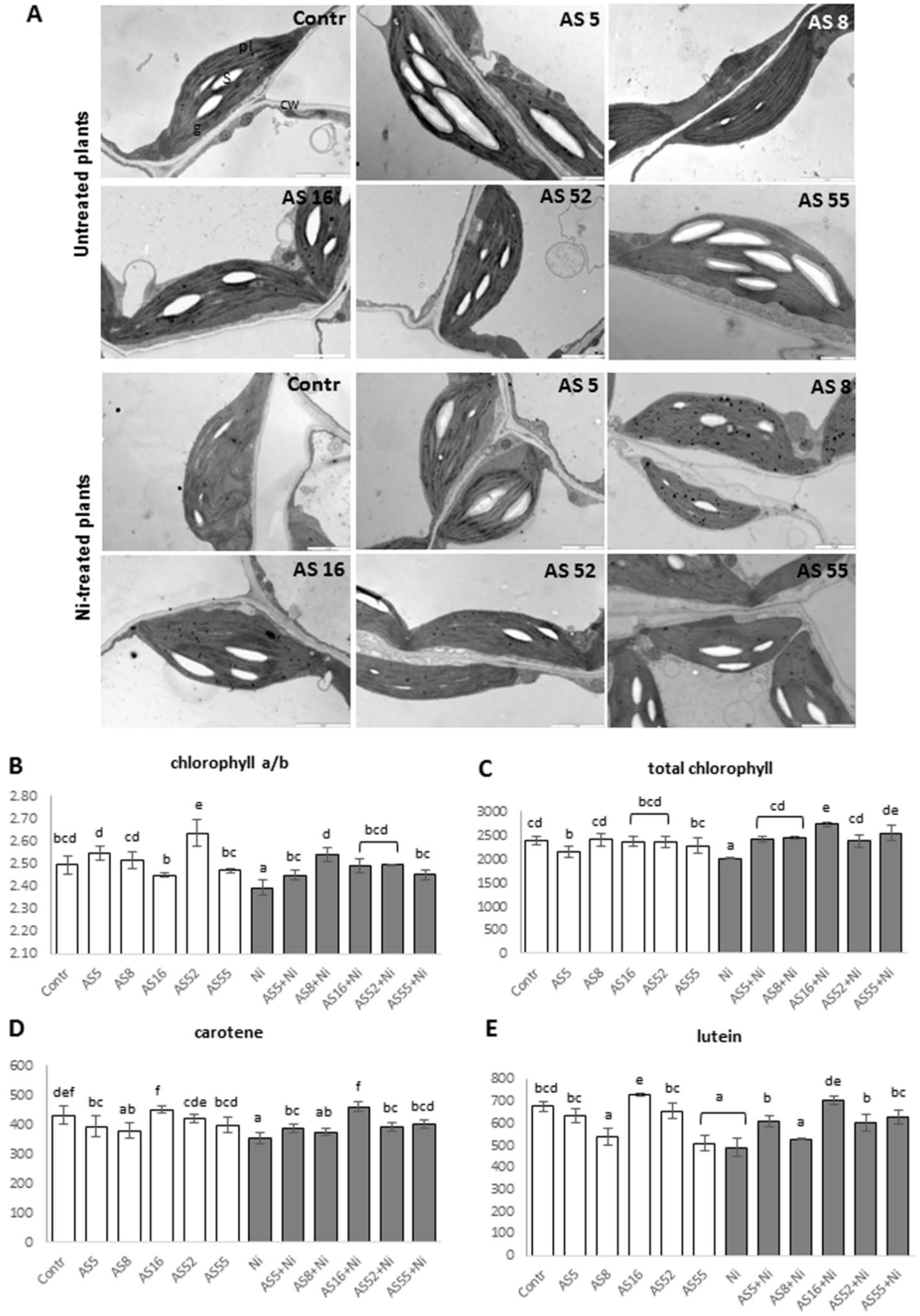 Ijms 23 11538 g007 Ijms 23 11538 g007