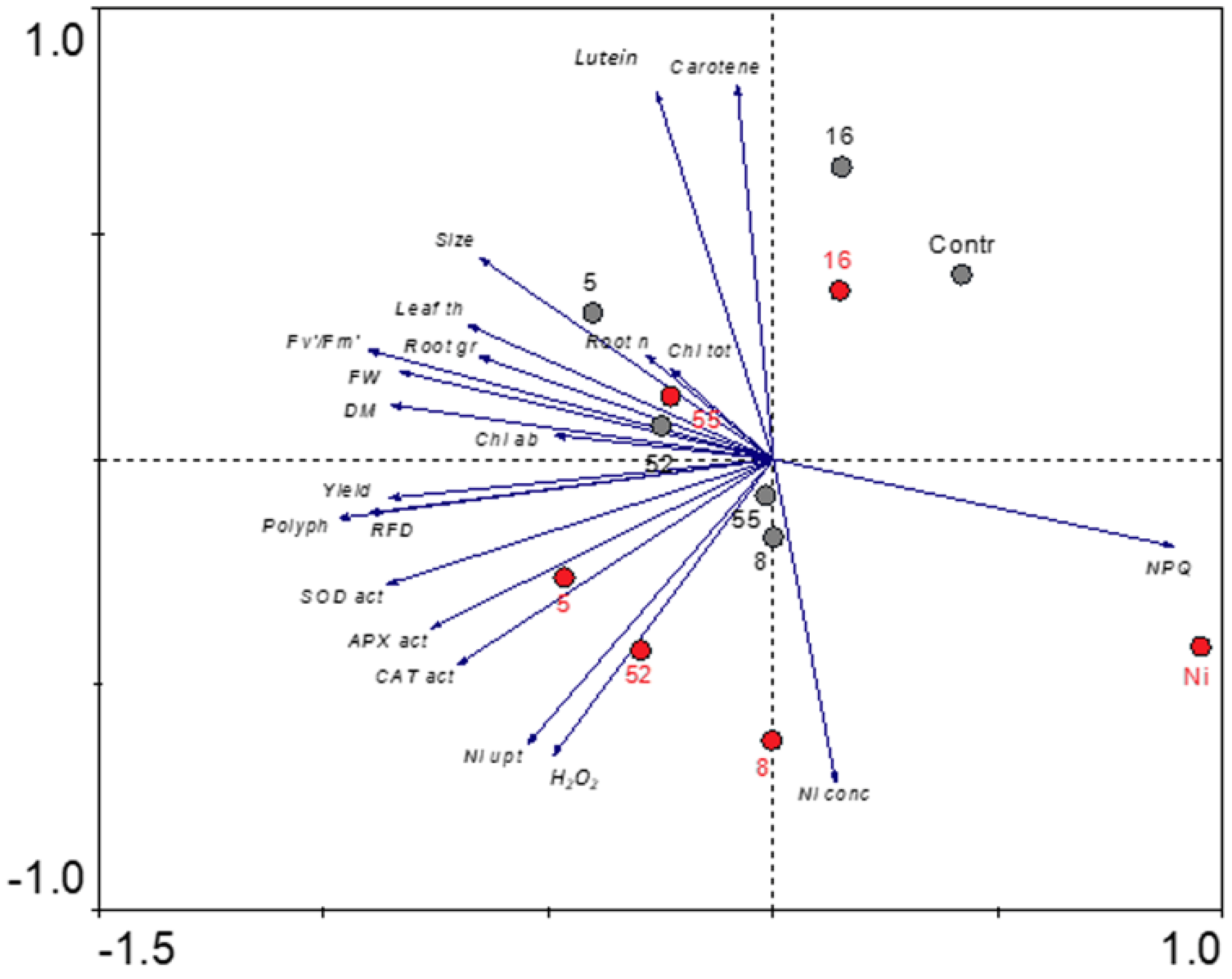 Ijms 23 11538 g011 Ijms 23 11538 g011