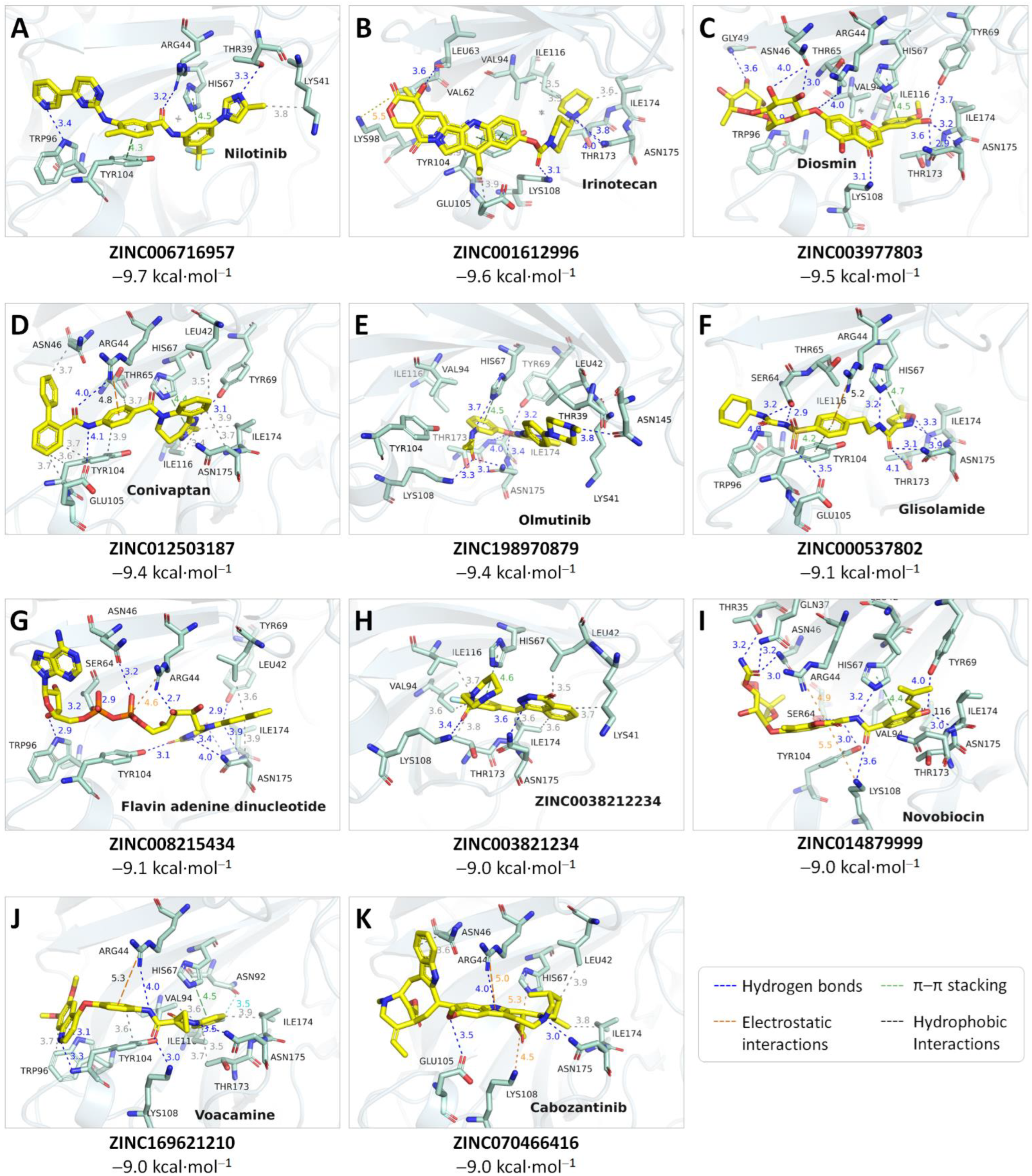 Ijms 23 11570 g004 Ijms 23 11570 g004