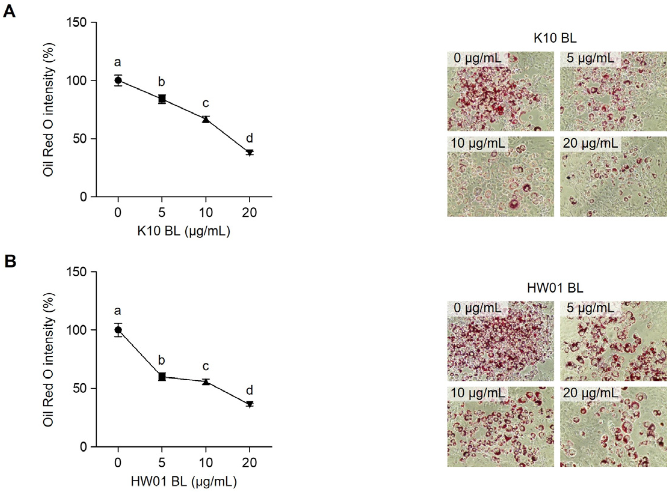 Ijms 23 11614 g001 Ijms 23 11614 g001