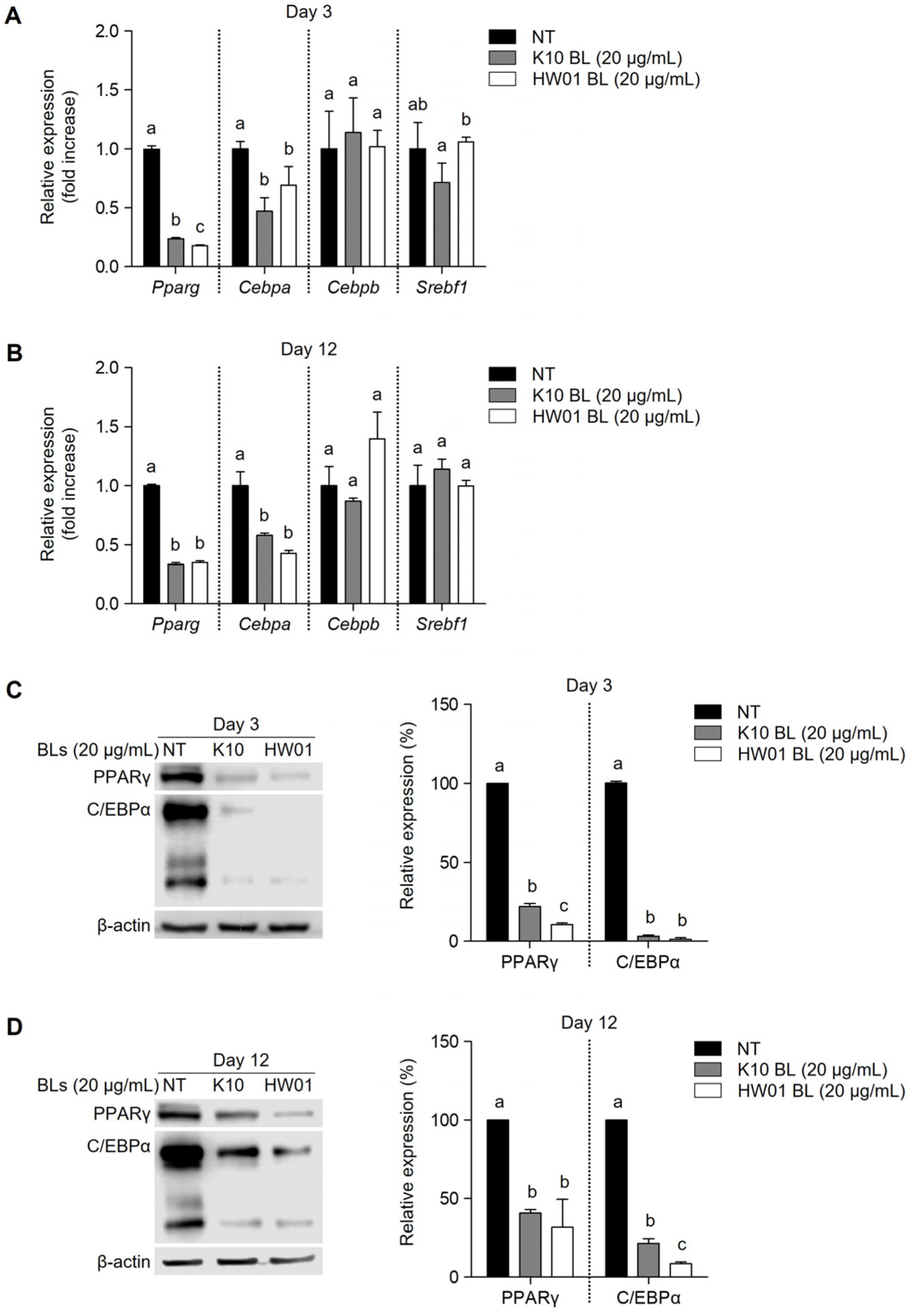 Ijms 23 11614 g004 Ijms 23 11614 g004