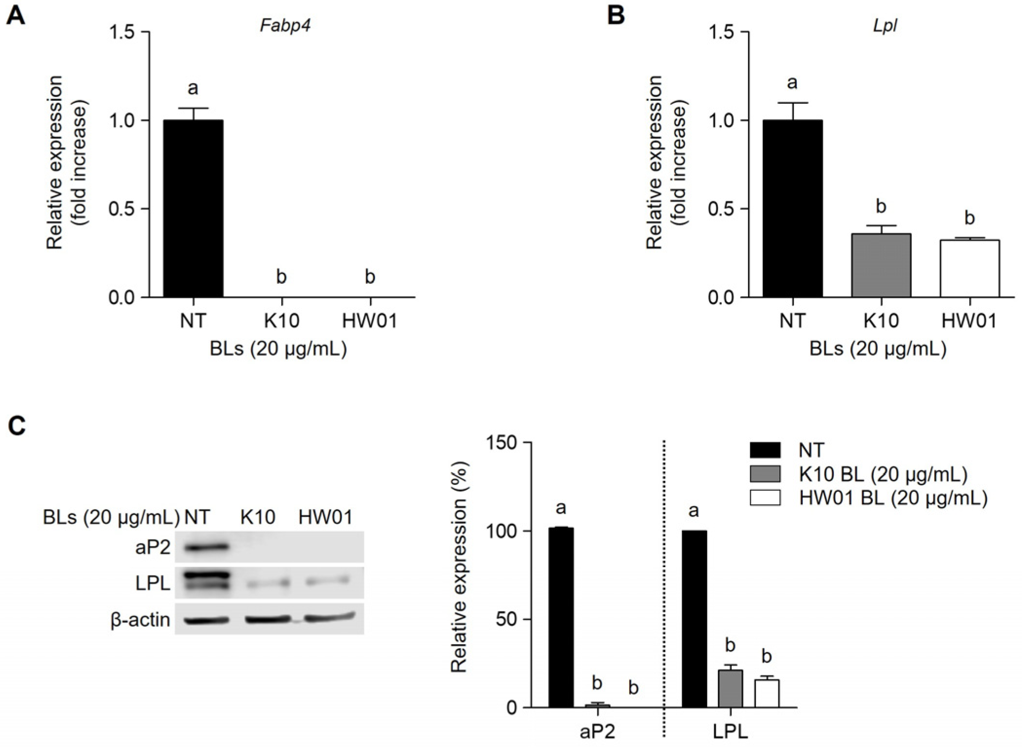 Ijms 23 11614 g005 Ijms 23 11614 g005