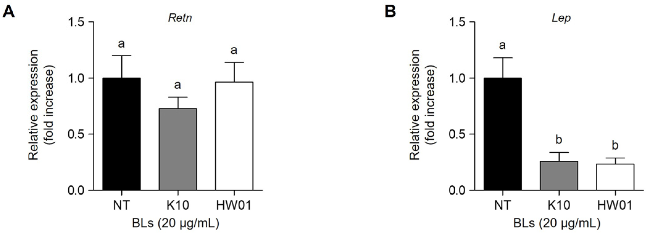 Ijms 23 11614 g006 Ijms 23 11614 g006