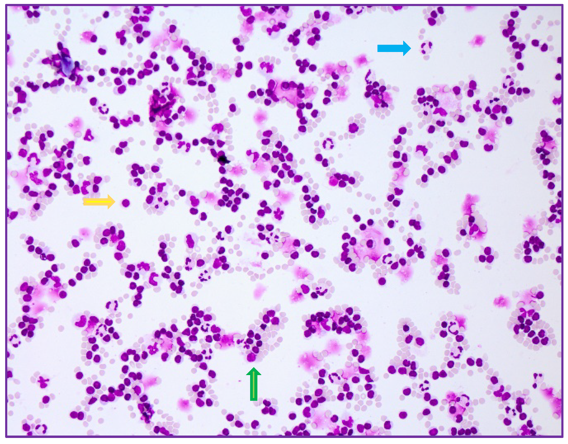 Ijms 23 11632 g002 Ijms 23 11632 g002