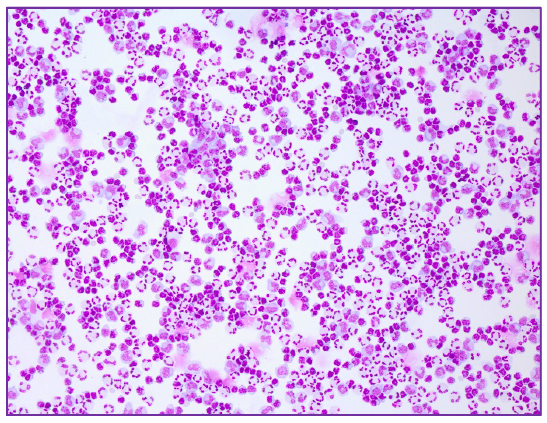 Ijms 23 11632 g003 Ijms 23 11632 g003