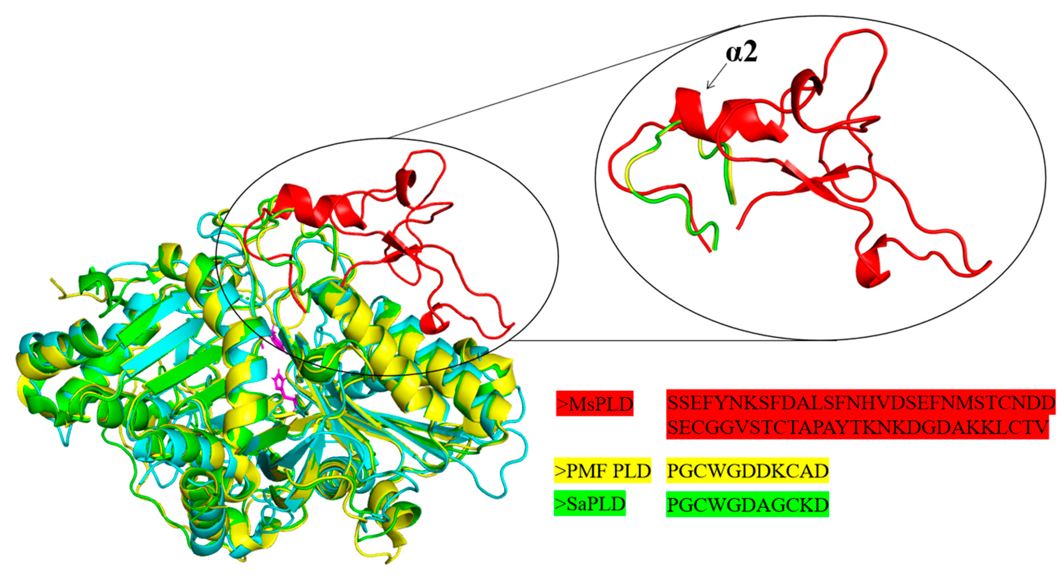 Ijms 23 11633 g003 Ijms 23 11633 g003