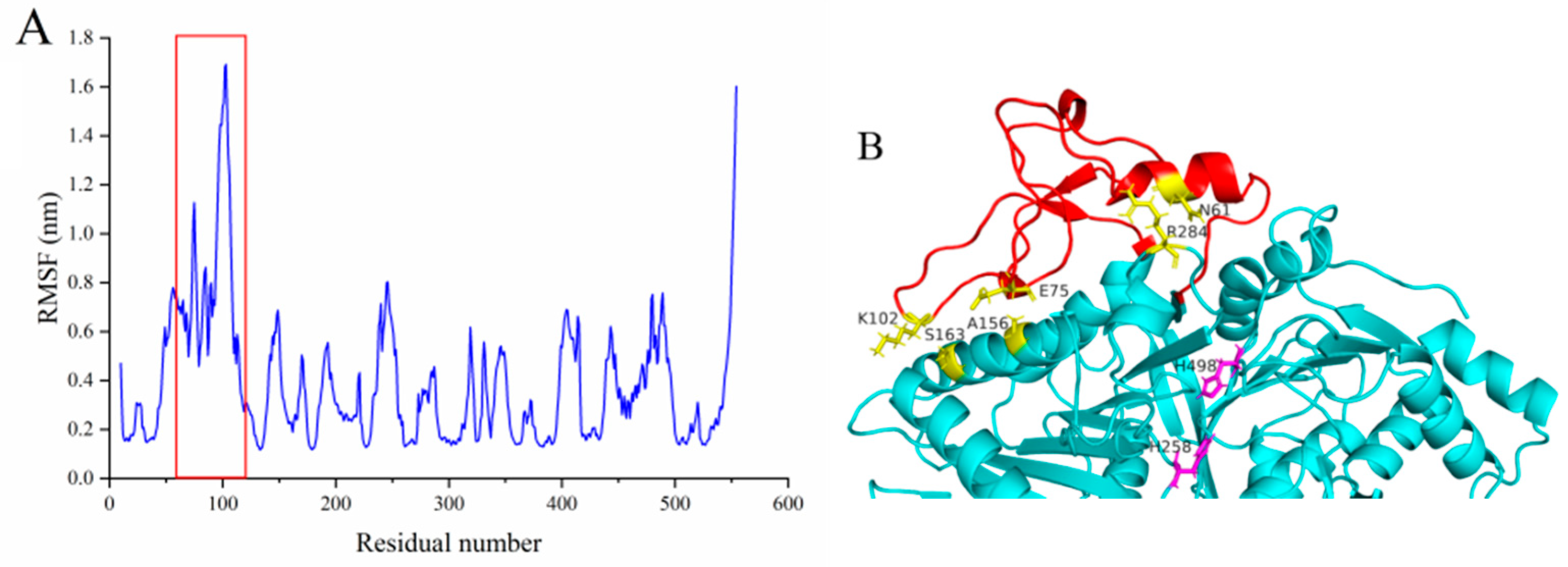 Ijms 23 11633 g004 Ijms 23 11633 g004