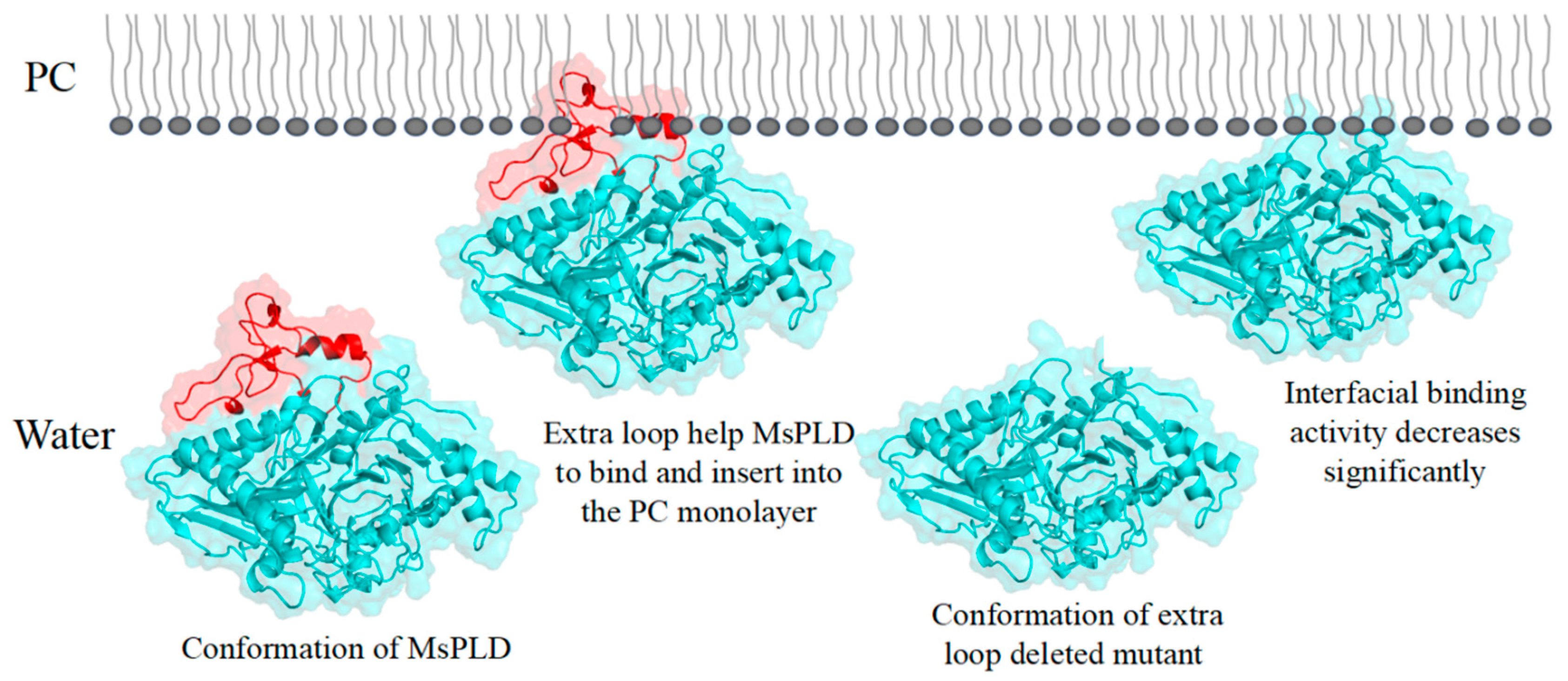 Ijms 23 11633 g007 Ijms 23 11633 g007