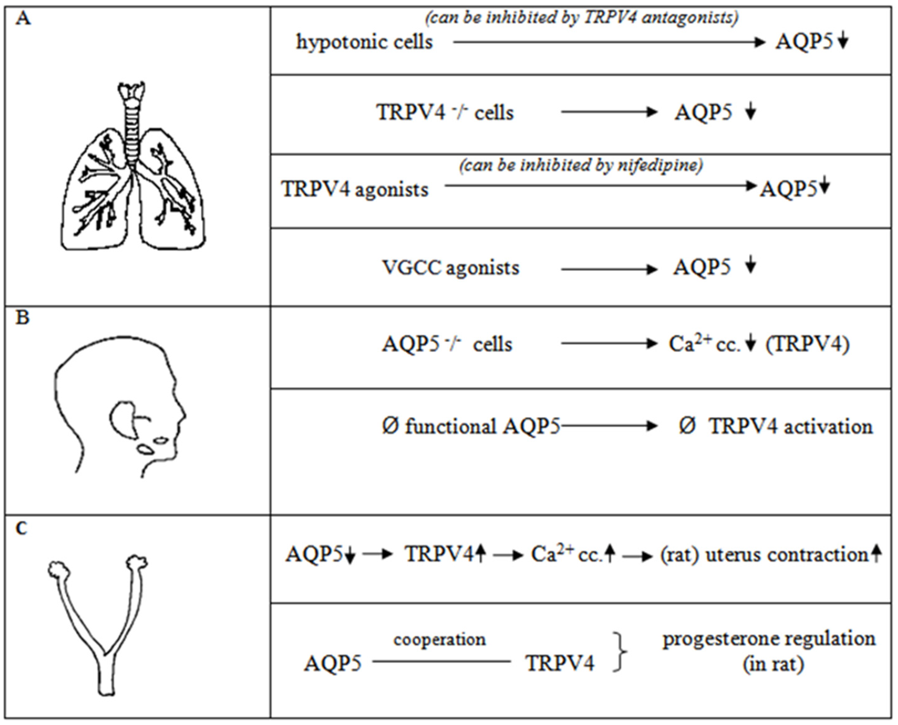 Ijms 23 11634 g002 Ijms 23 11634 g002
