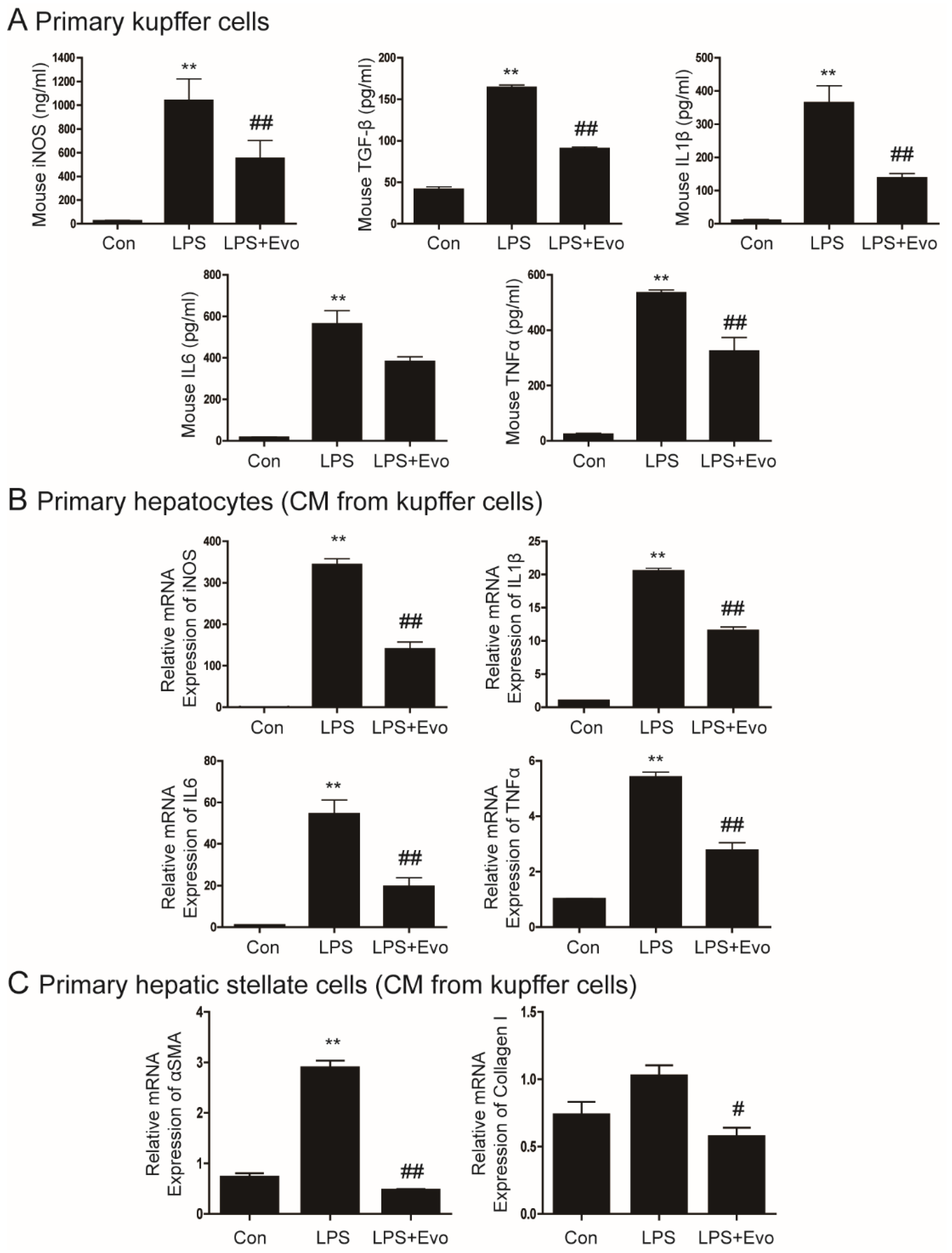 Ijms 23 11636 g001 Ijms 23 11636 g001