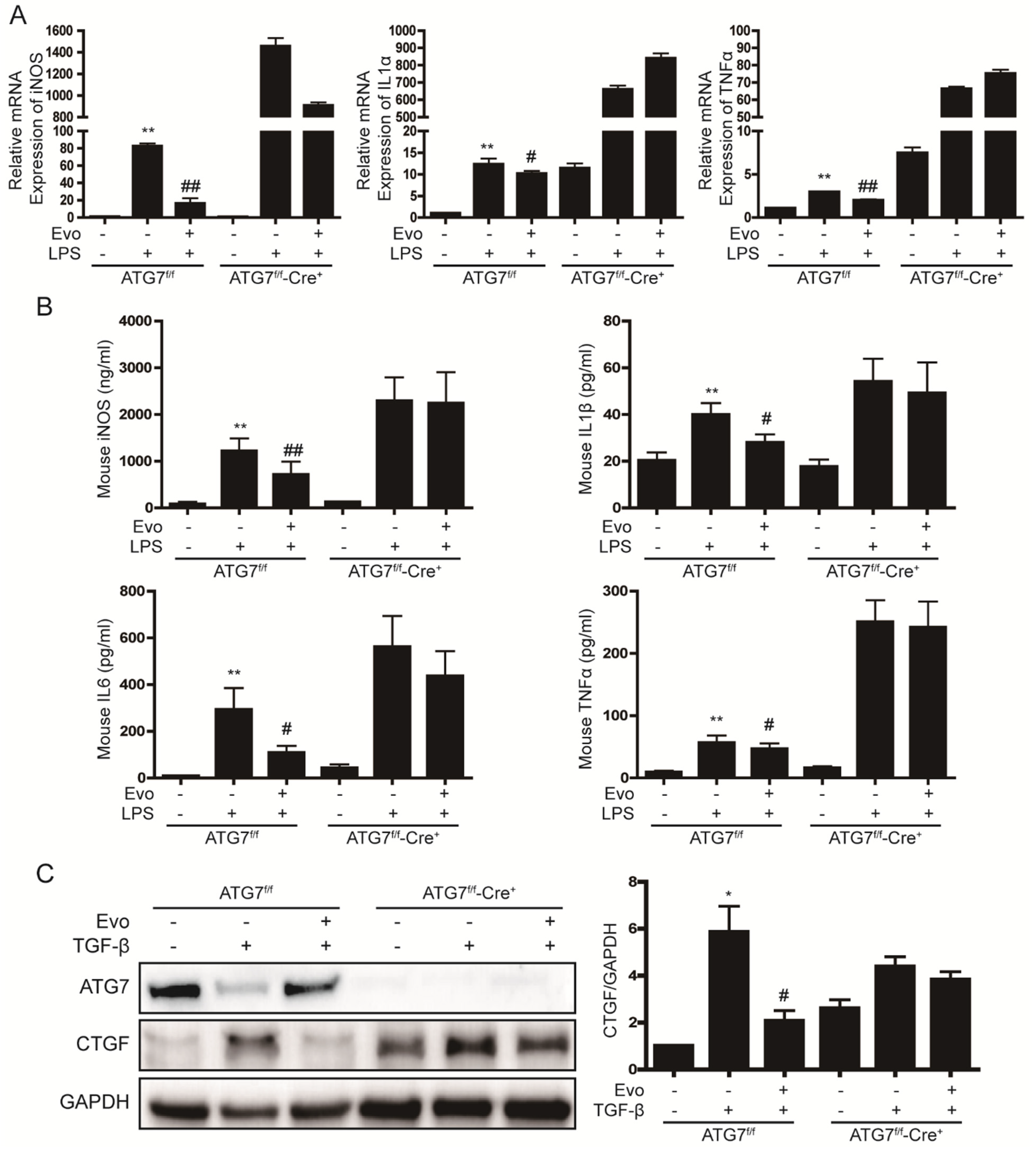 Ijms 23 11636 g005 Ijms 23 11636 g005